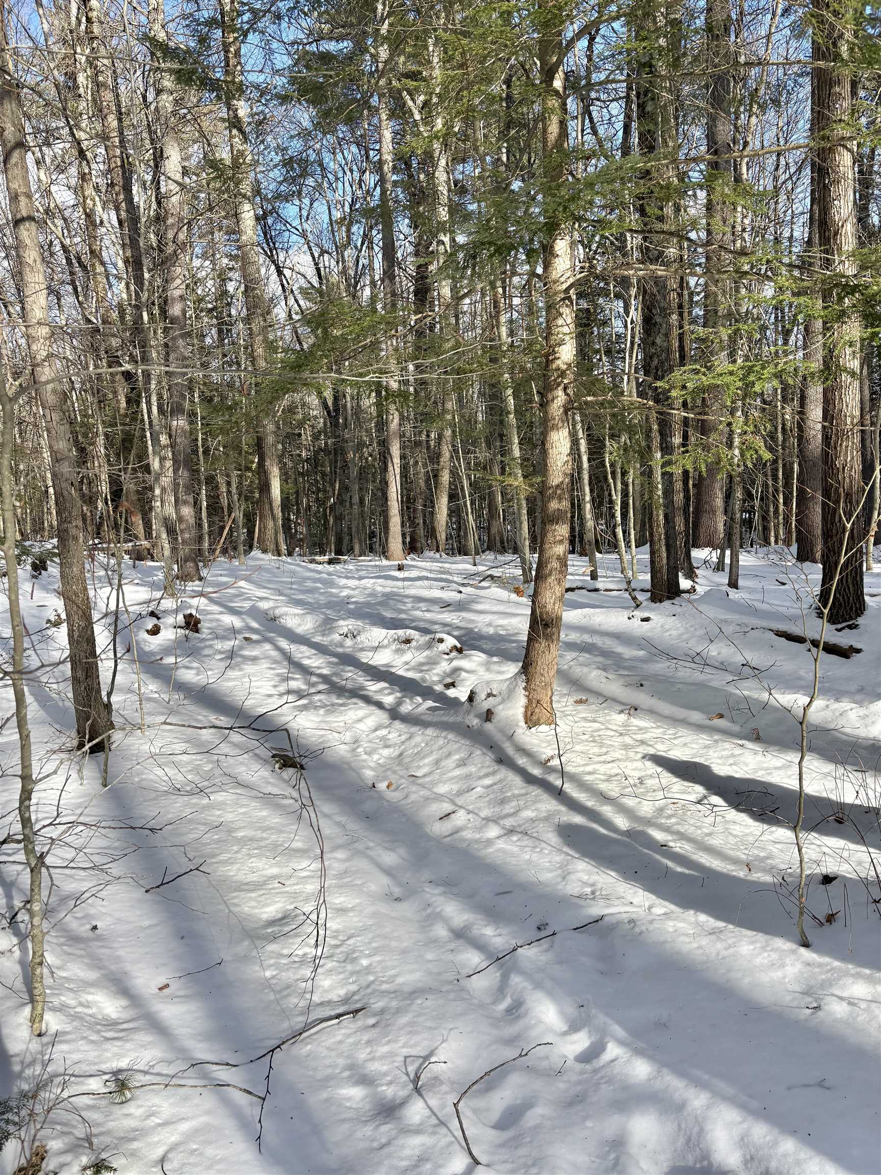 property viewer photo 5