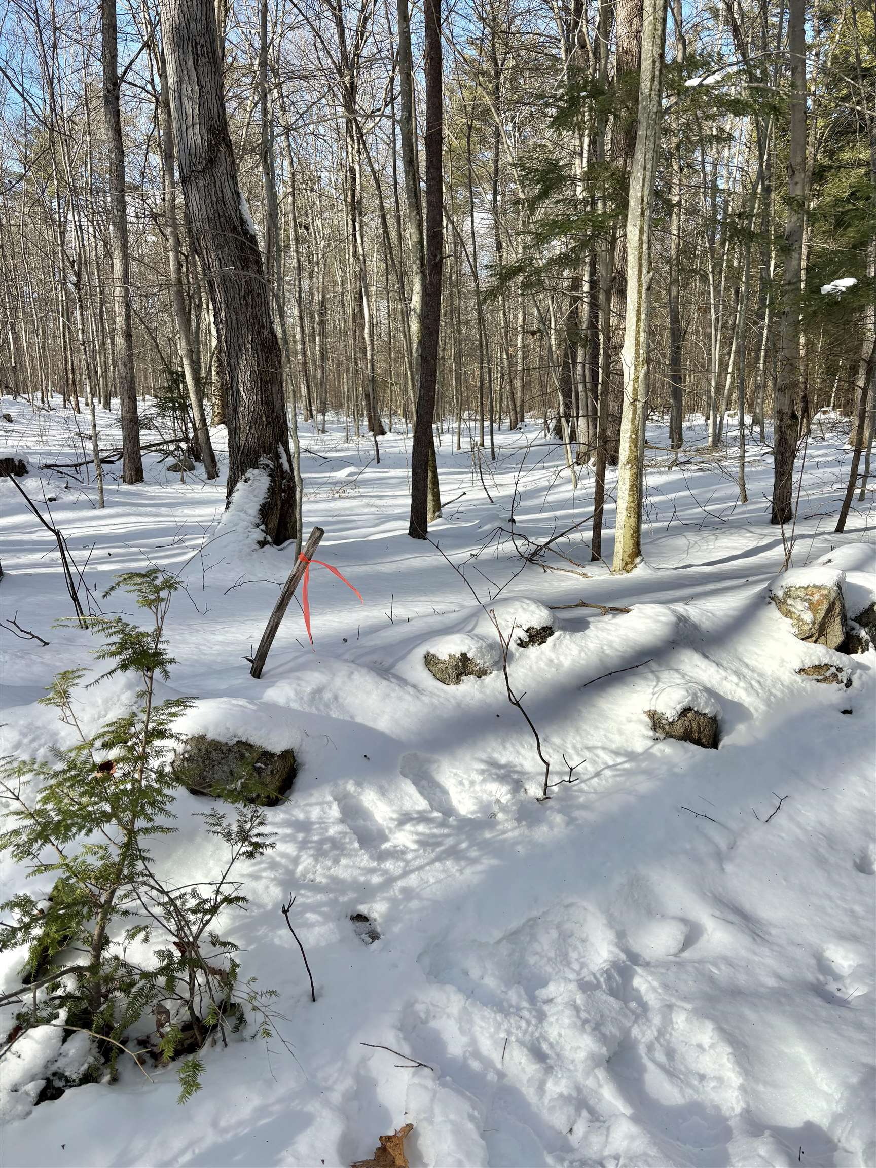 property viewer photo 6