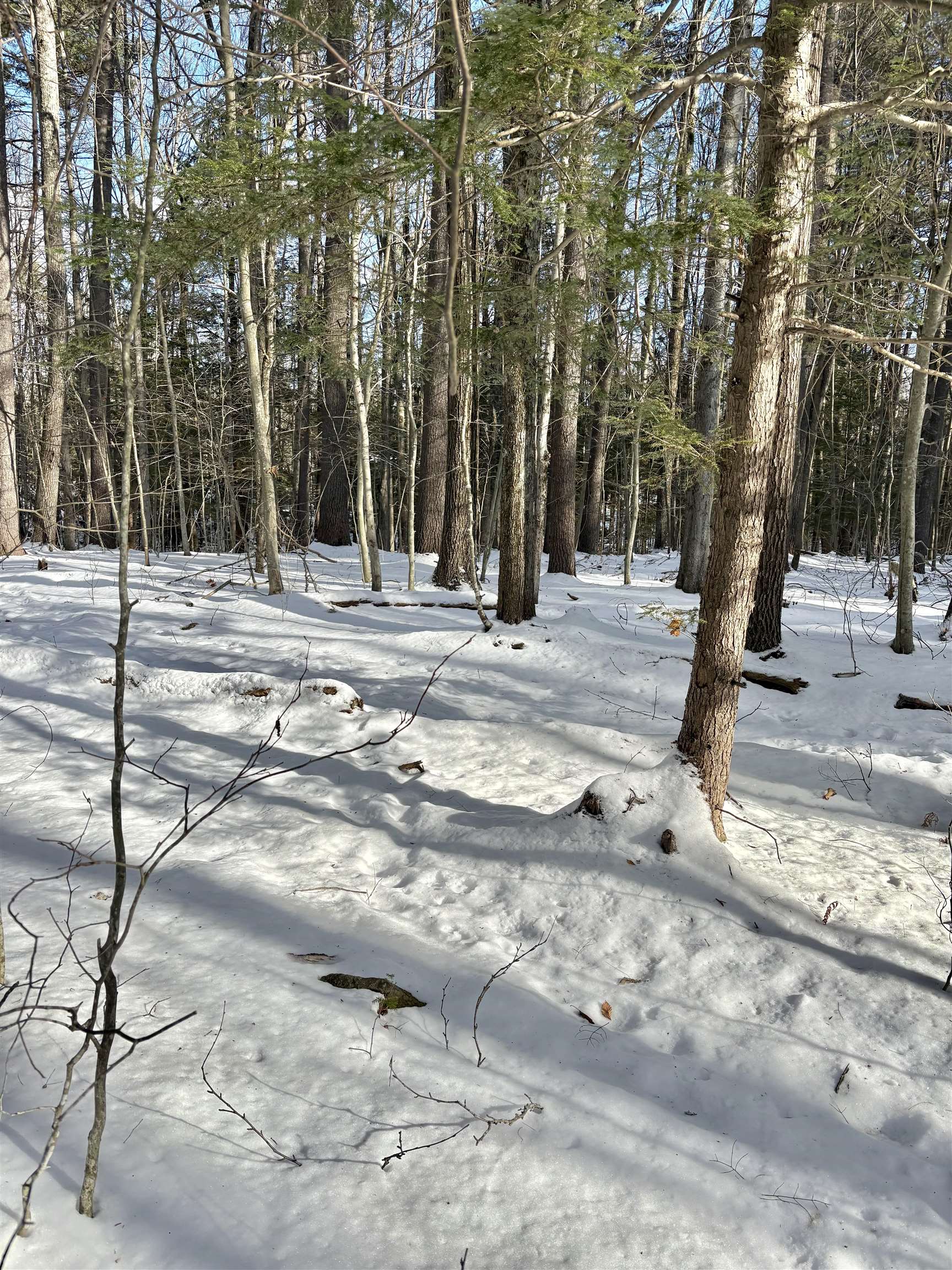 property viewer photo 7