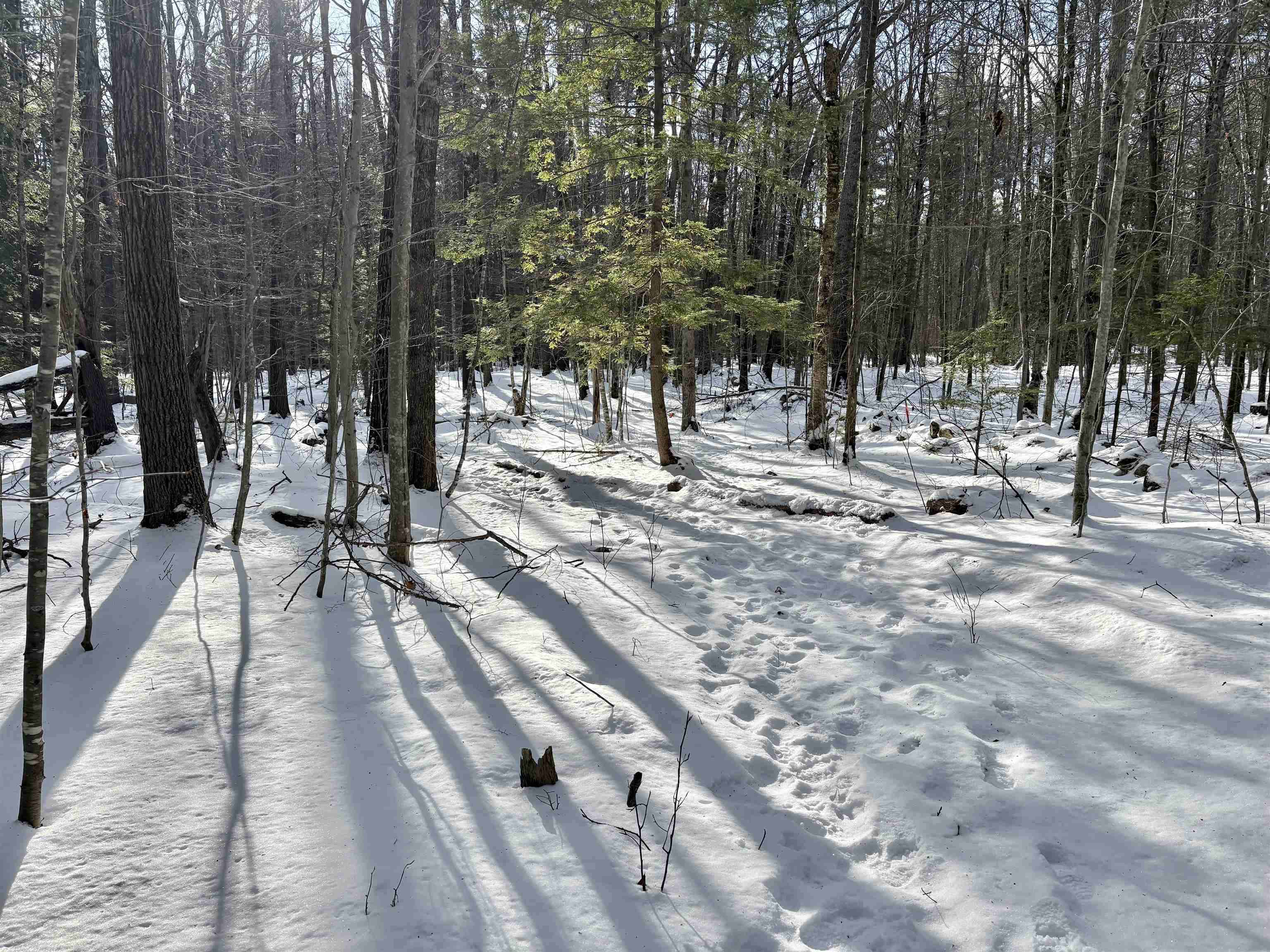 property viewer photo 9