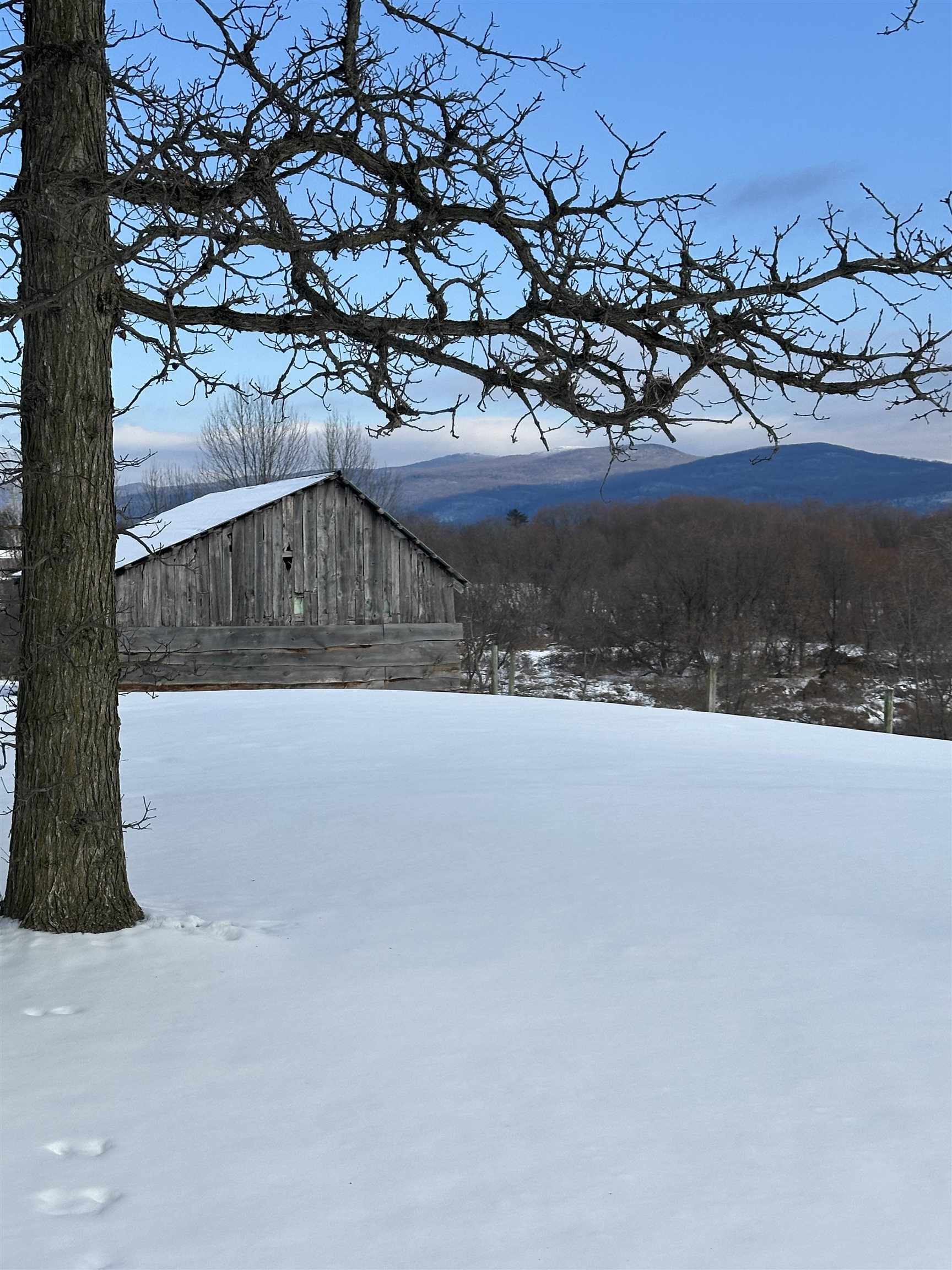 main property photo 54