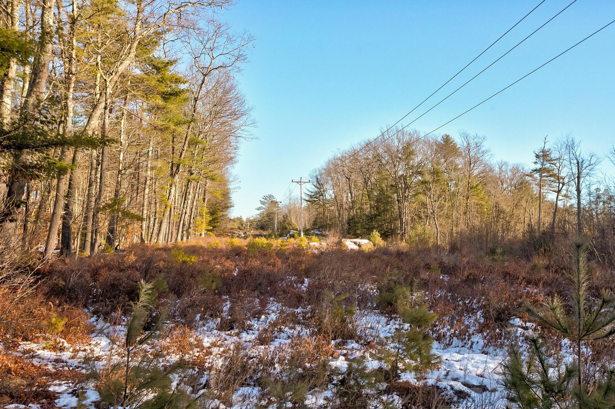 main property photo 42