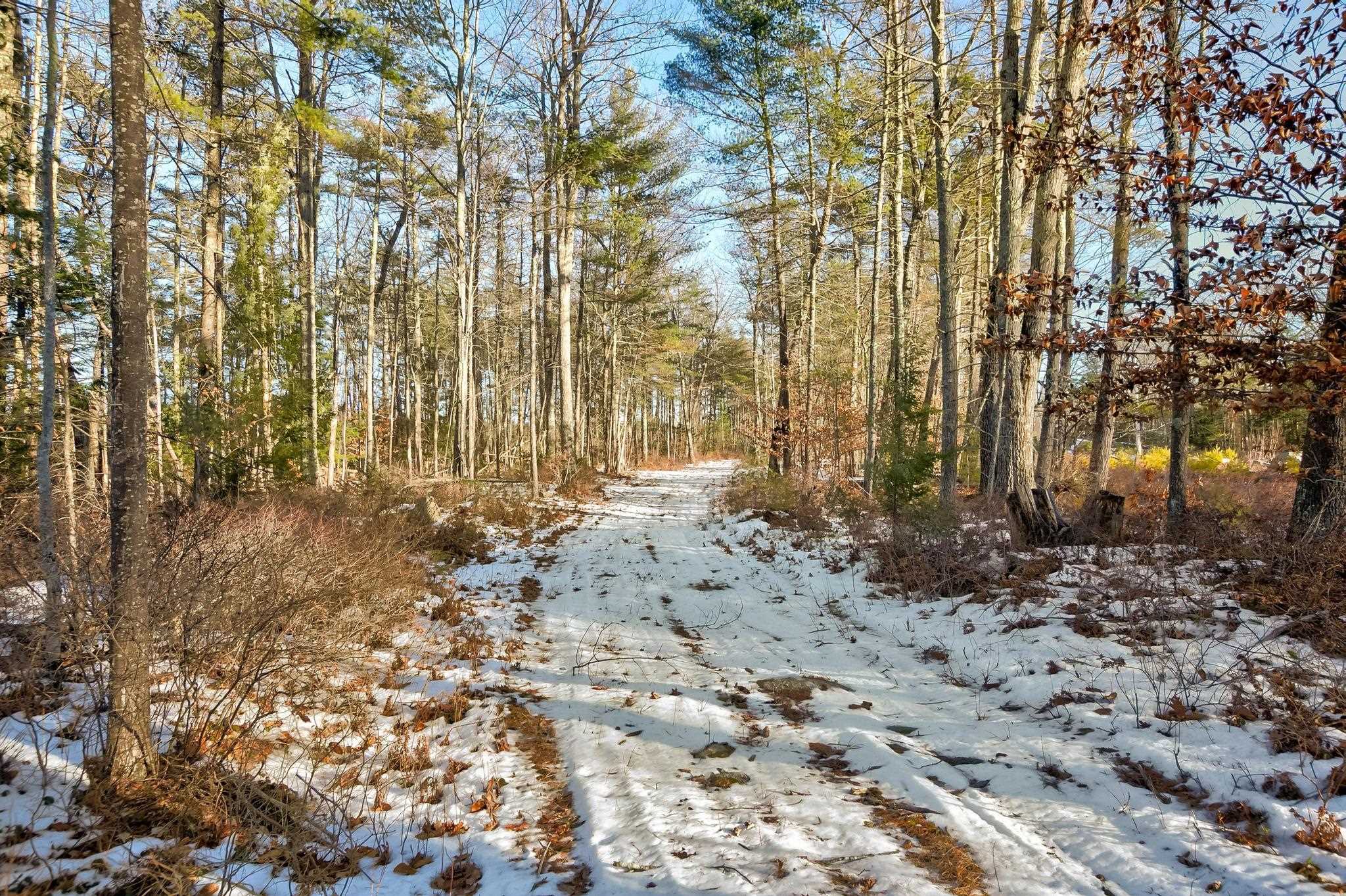 main property photo 43