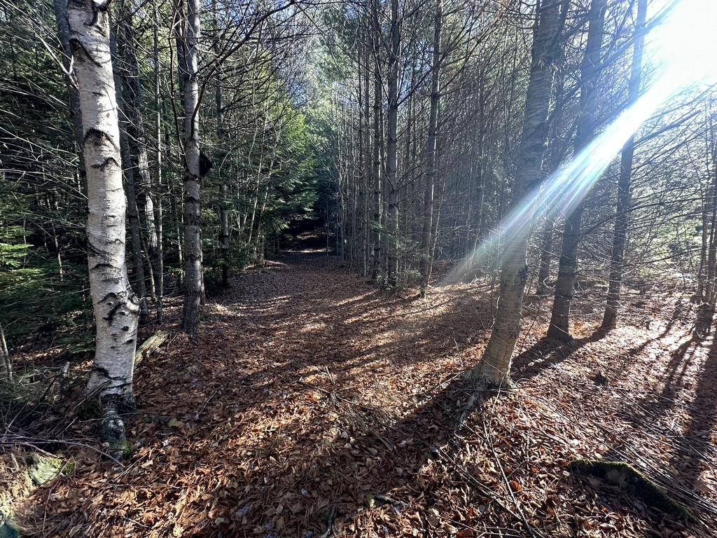property viewer photo 38