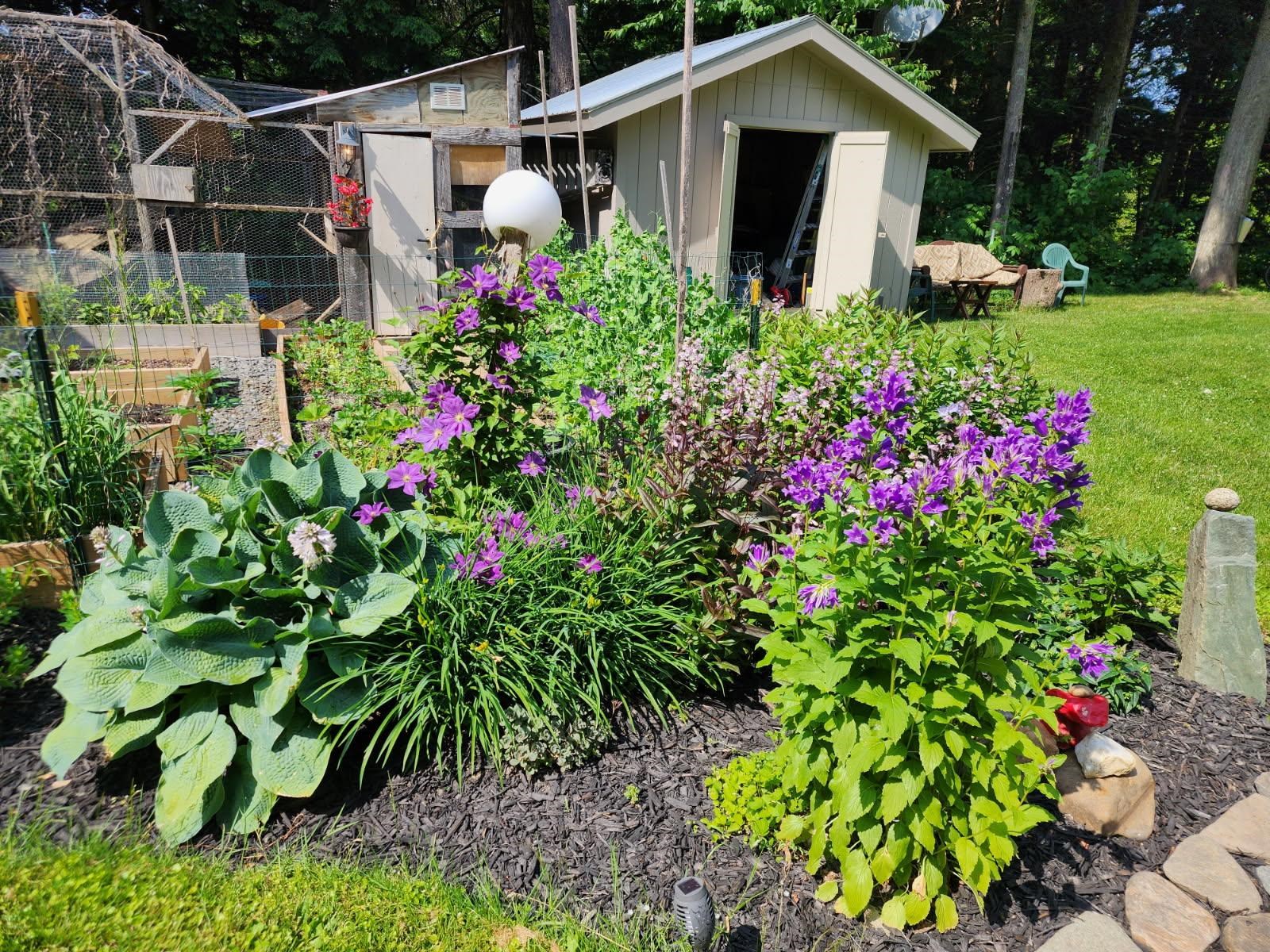 main property photo 33