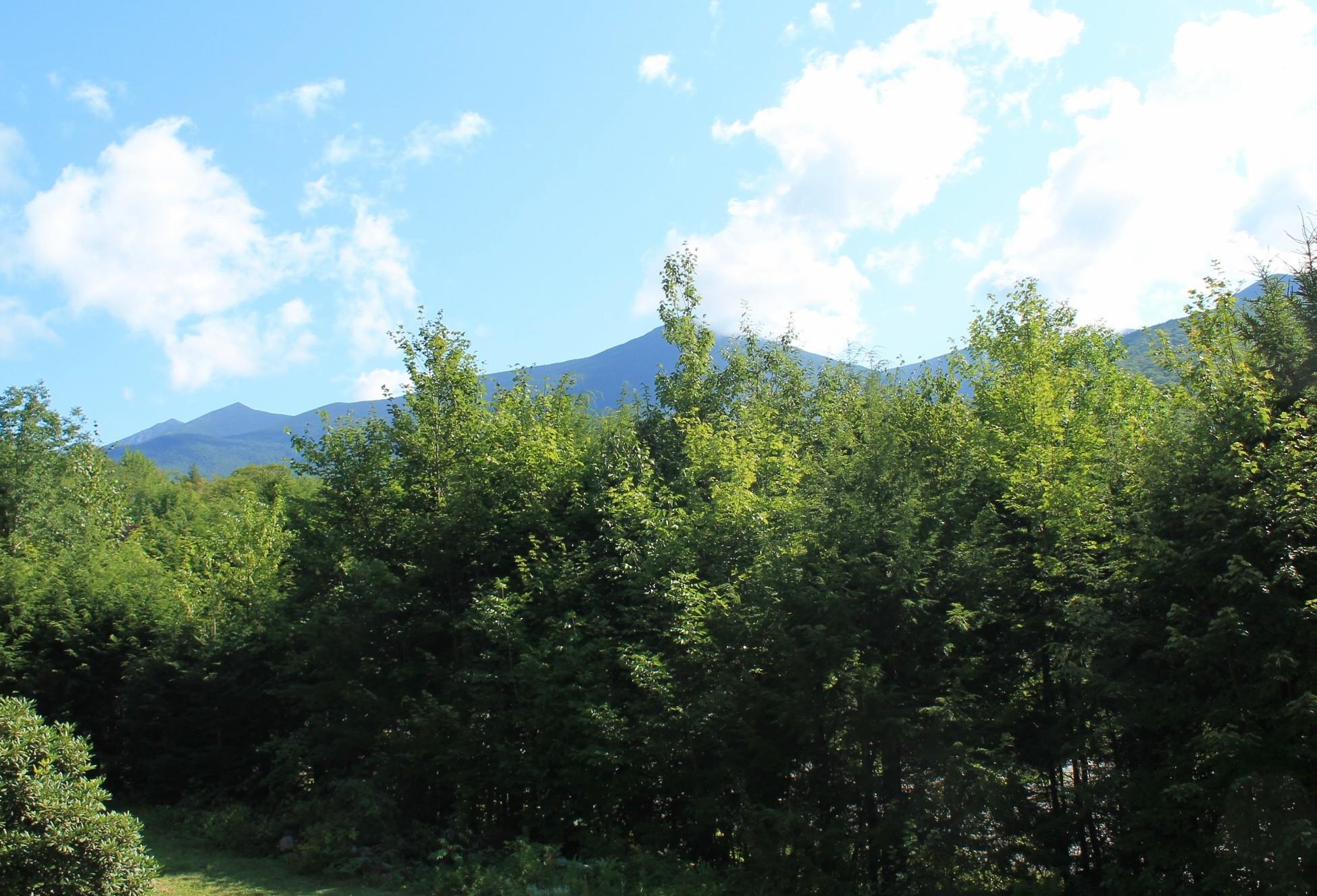 property viewer photo 22