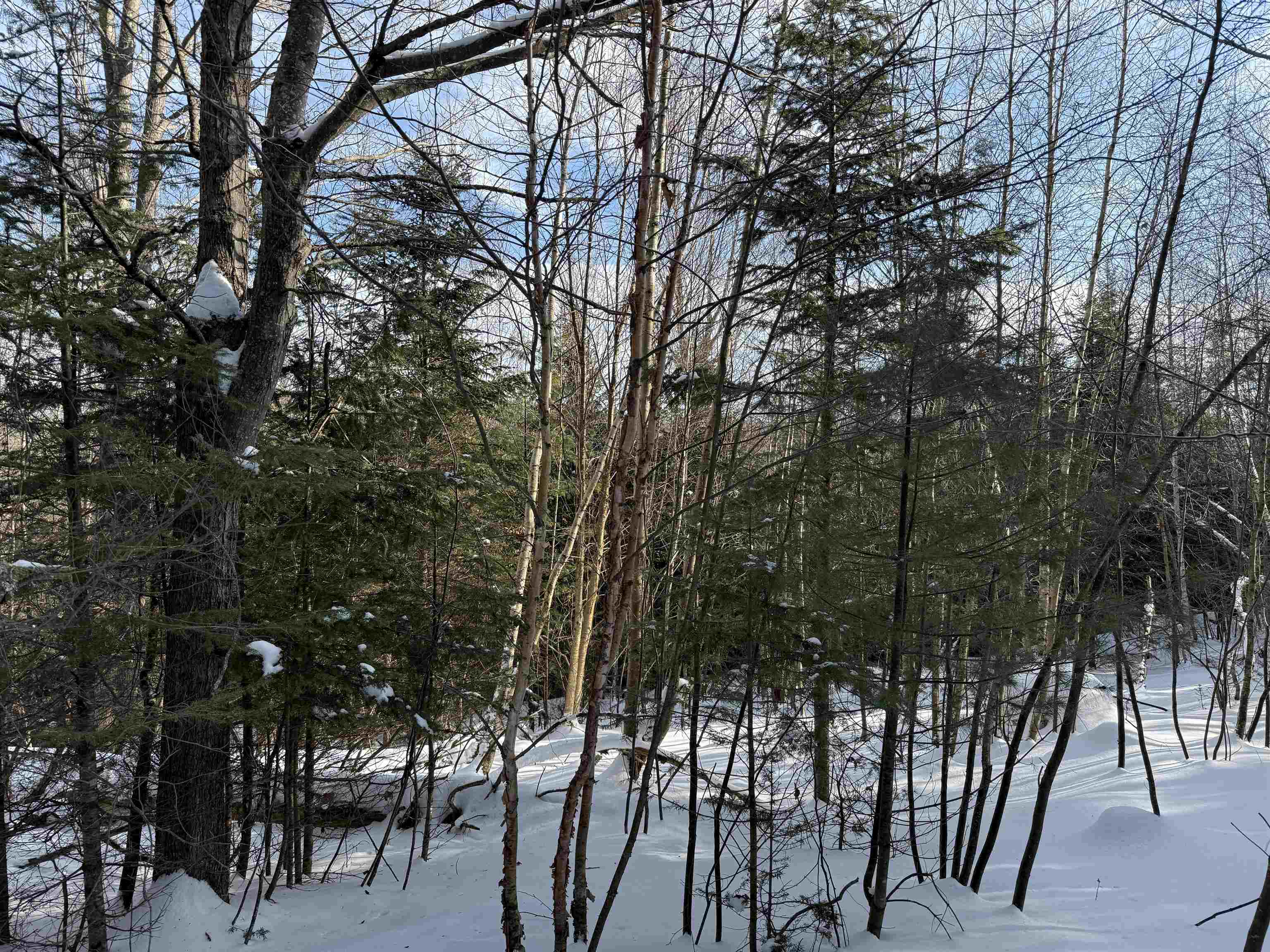 main property photo 17