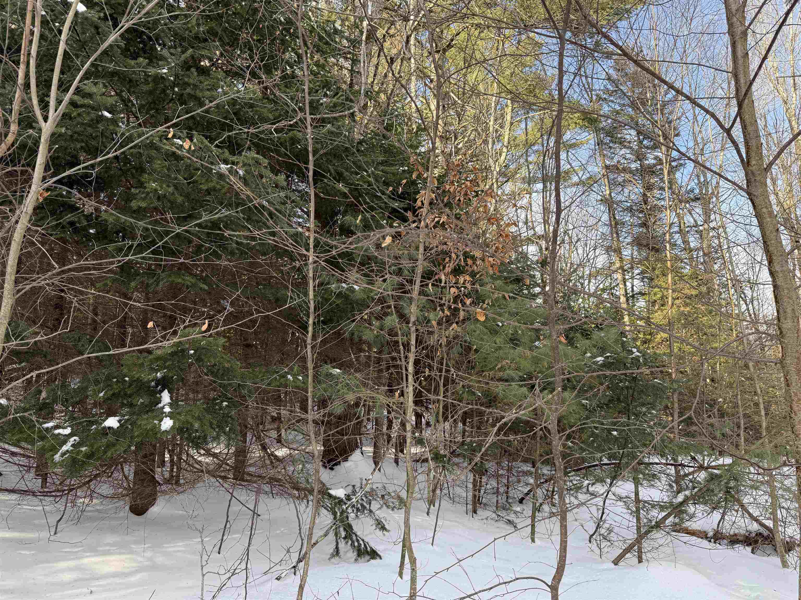 main property photo 21