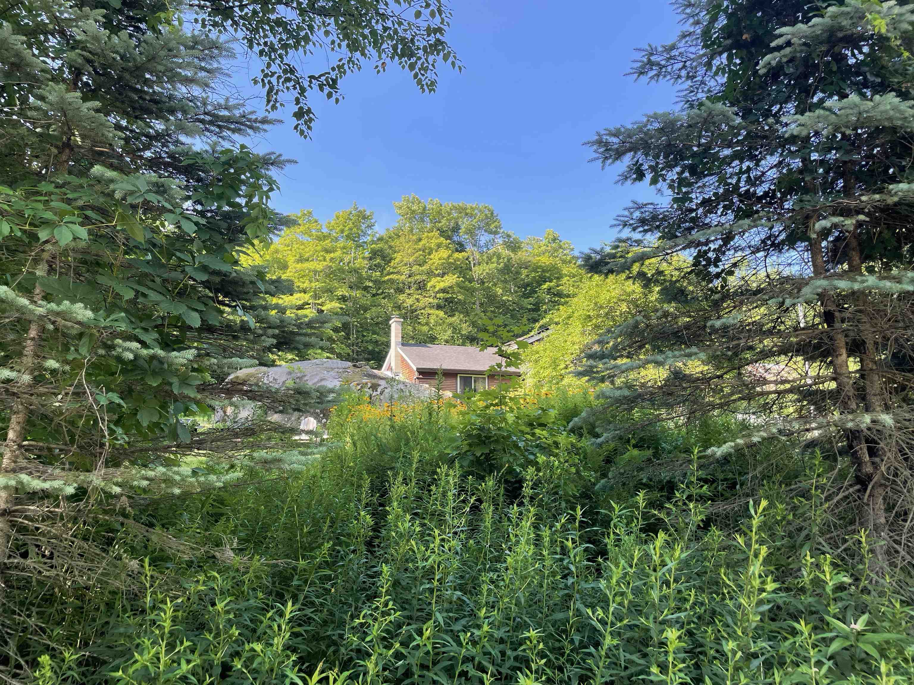 main property photo 59