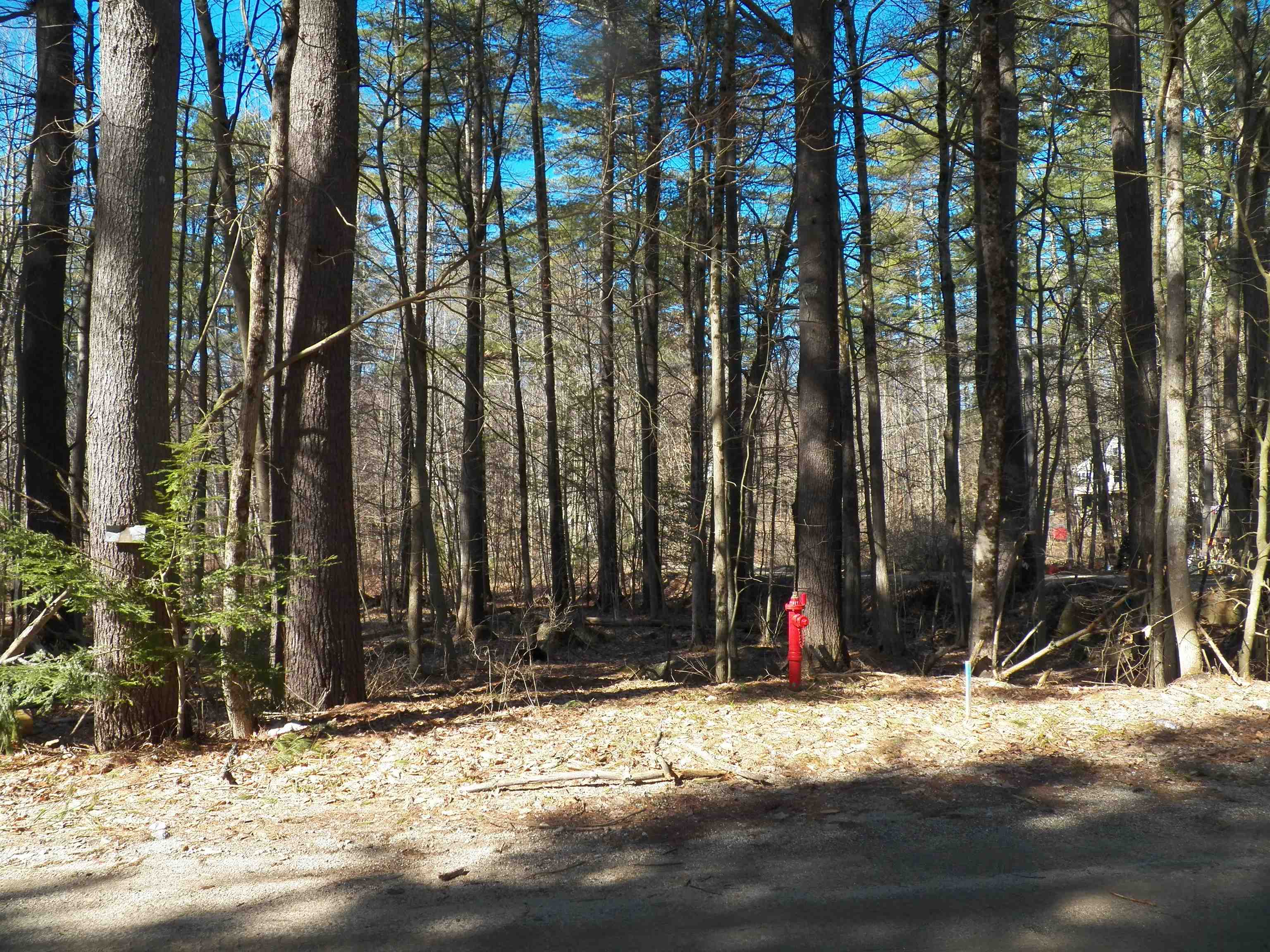 main property photo 15