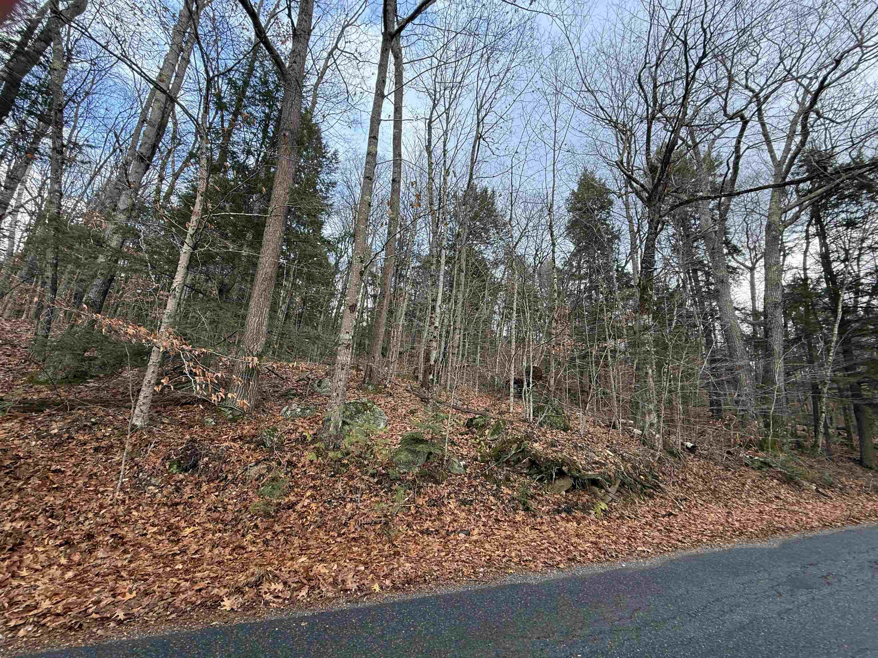 main property photo 18