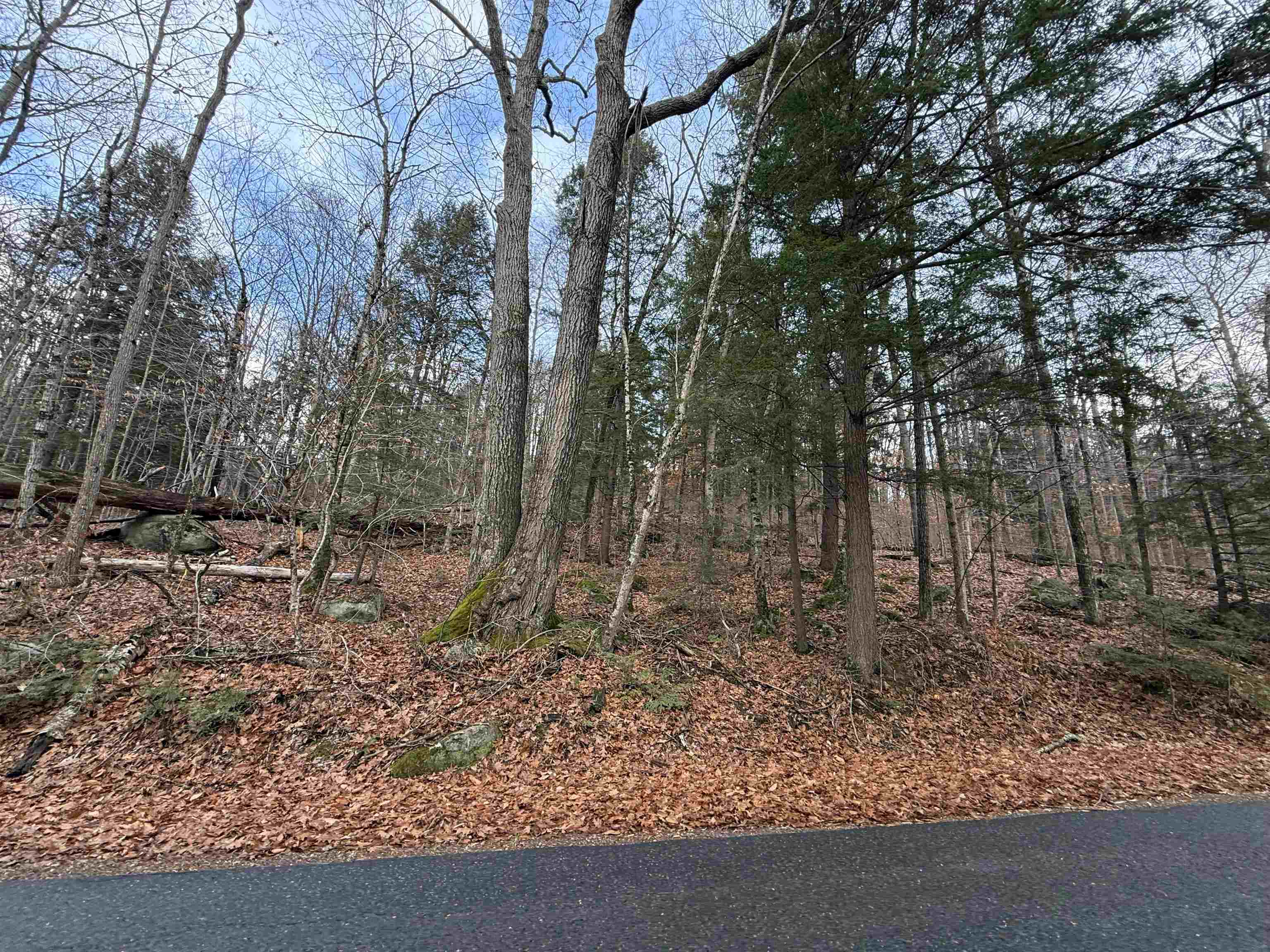 main property photo 19