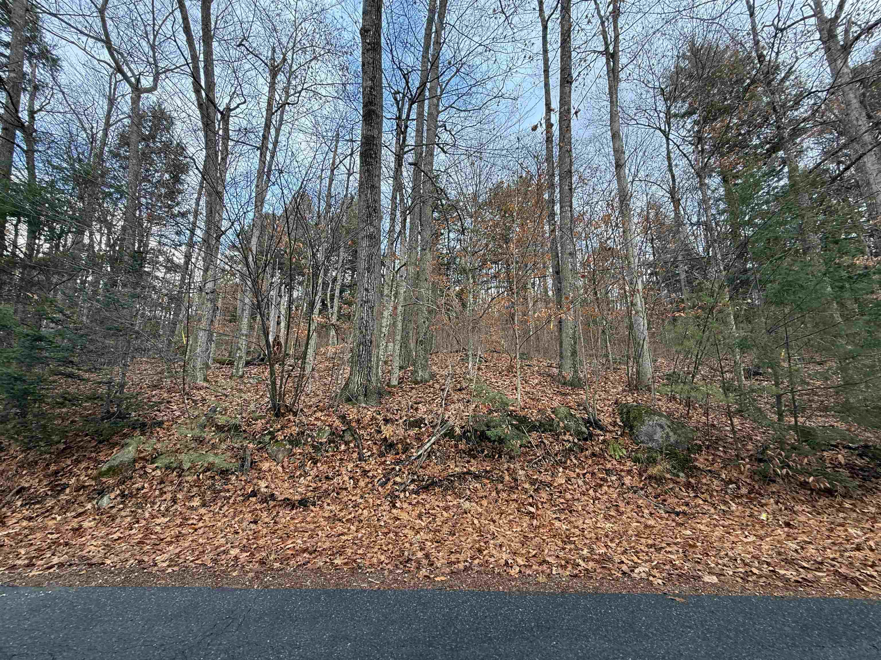 main property photo 20