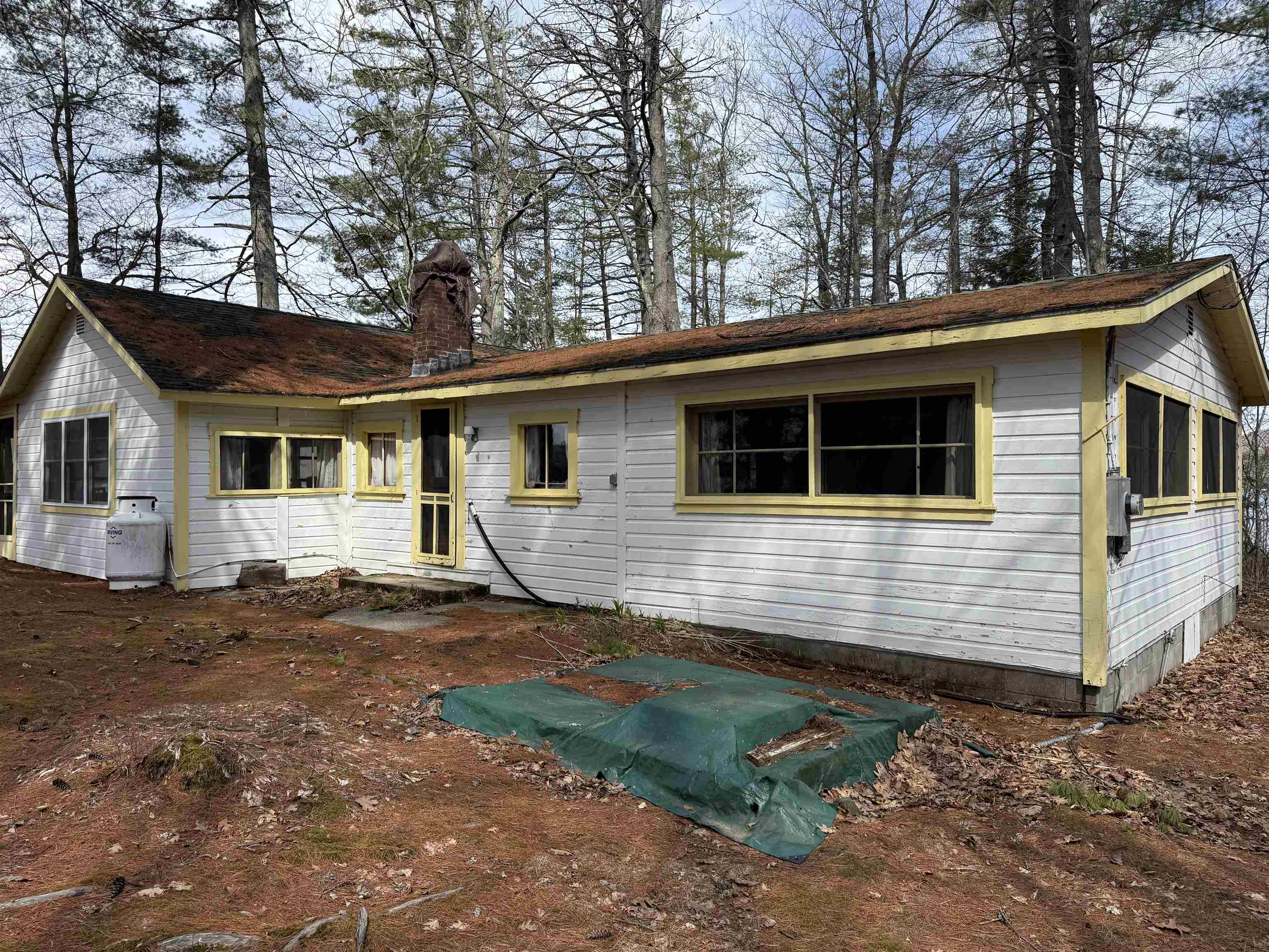 main property photo 43