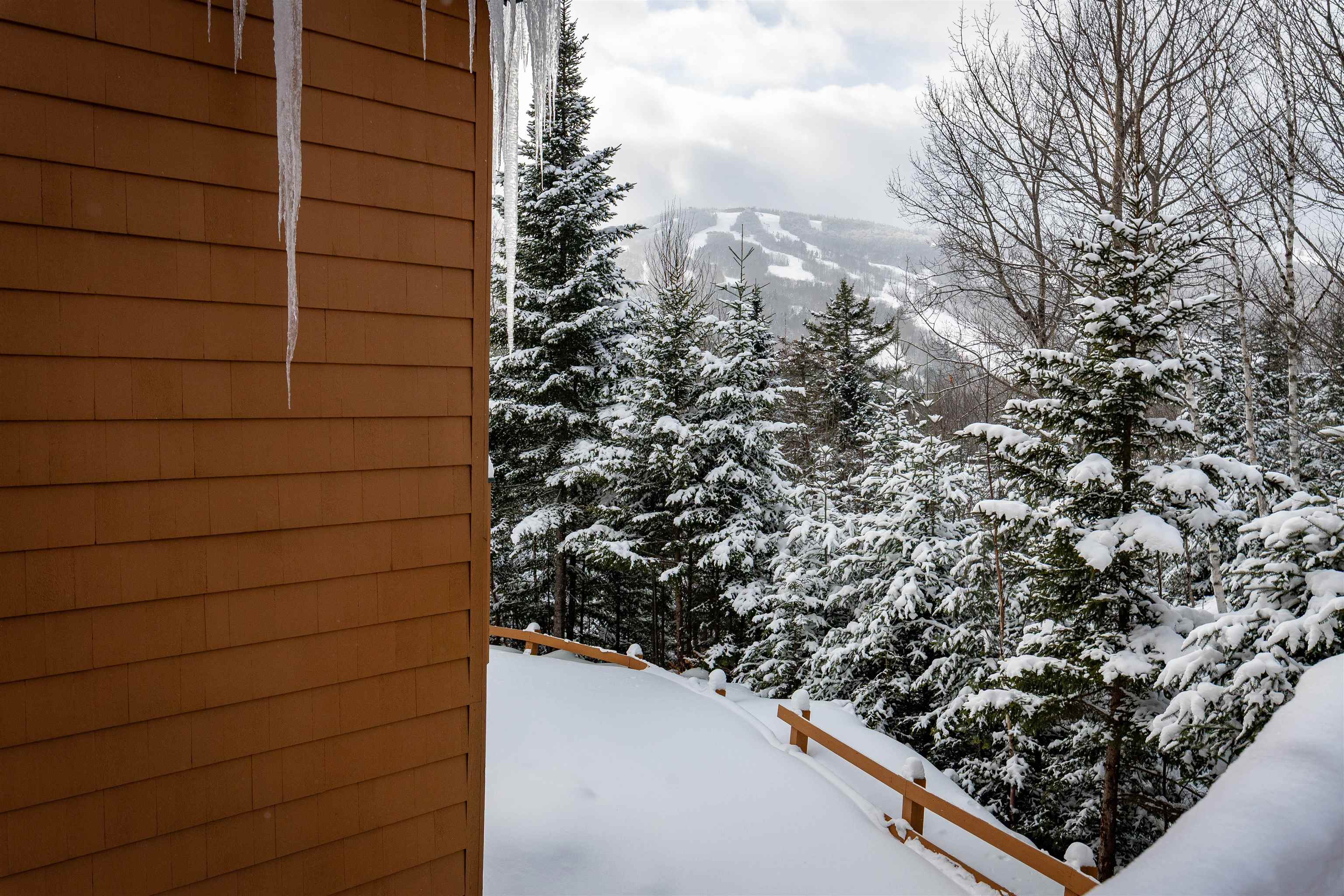 property viewer photo 31