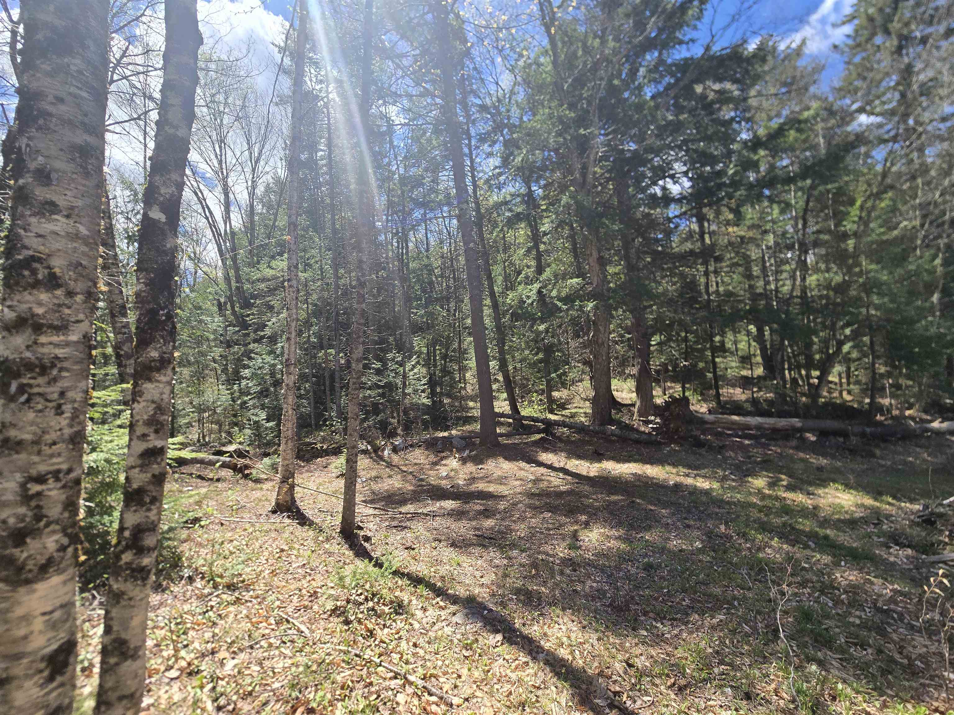 main property photo 56