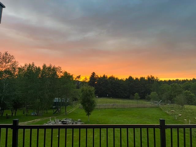 main property photo 41