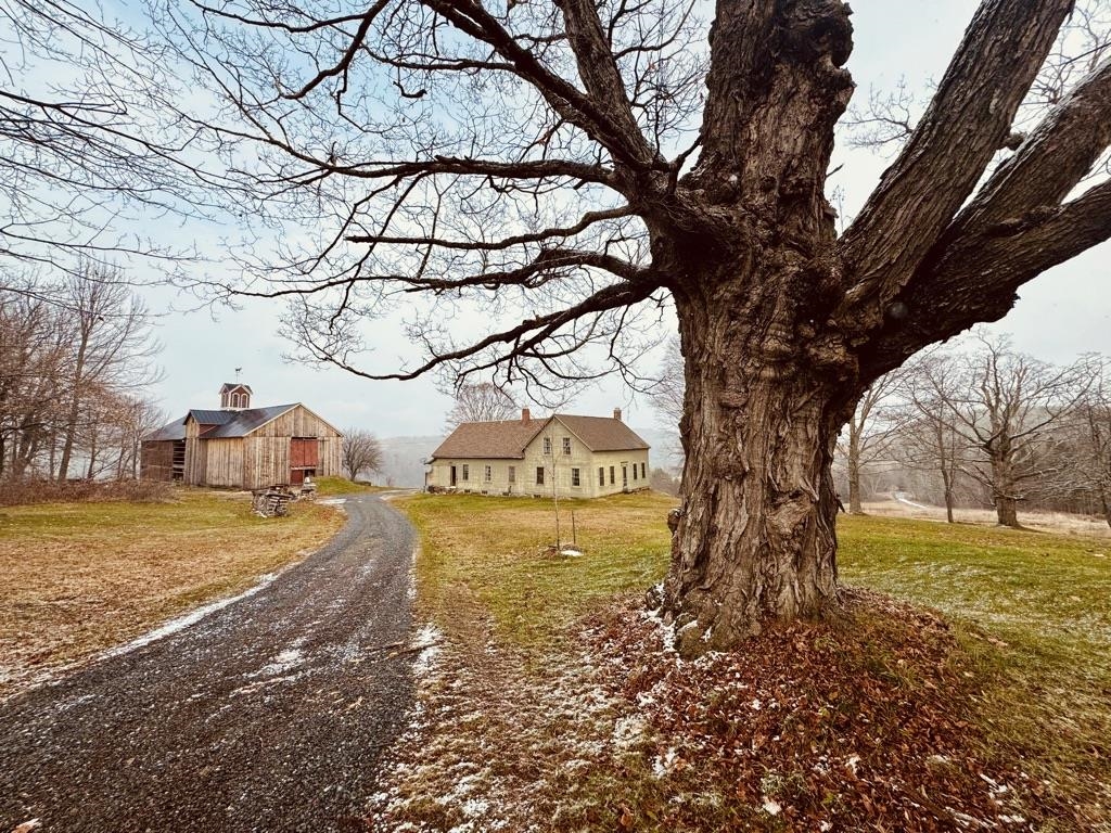 main property photo 6