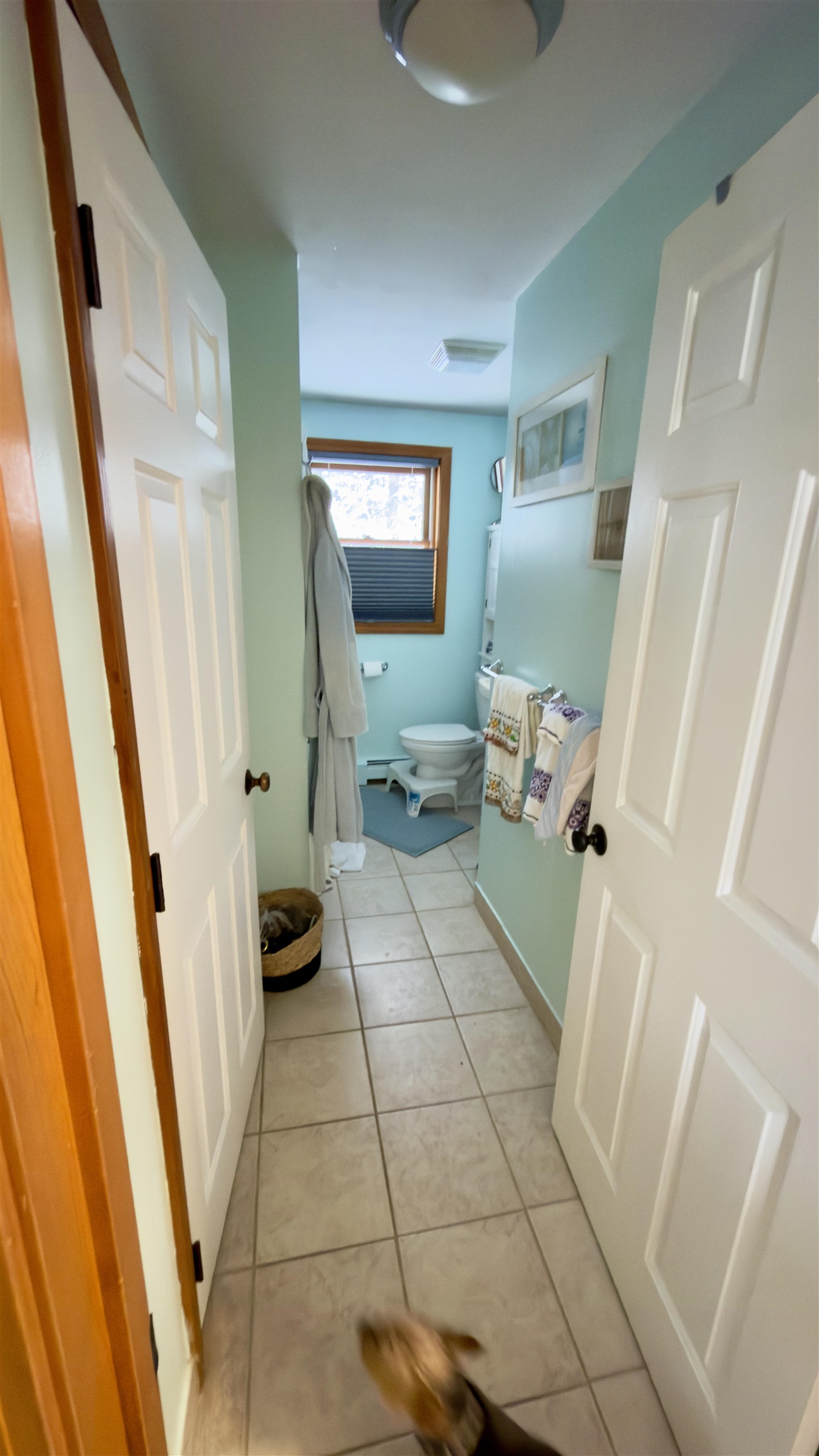main property photo 14
