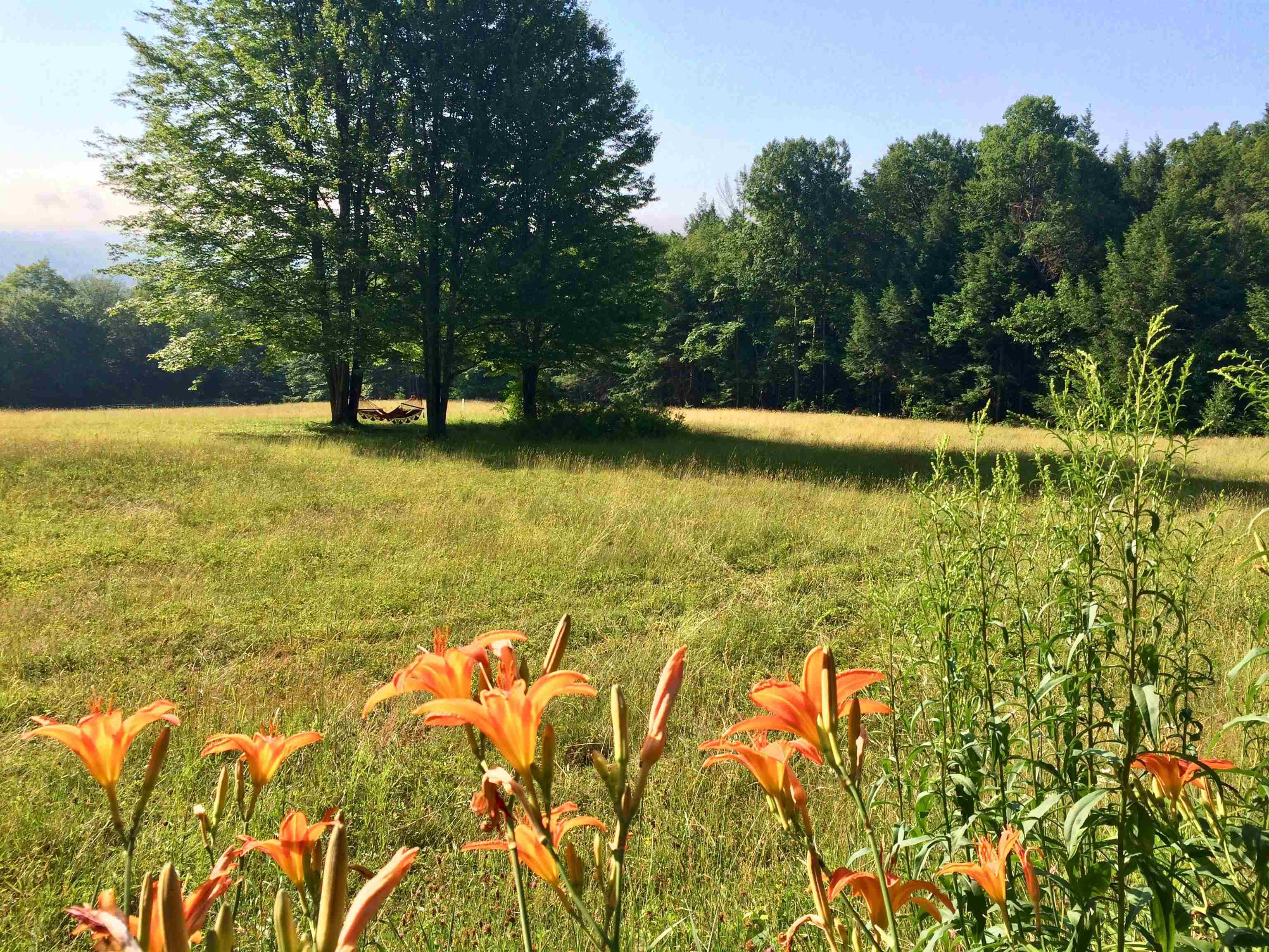 main property photo 50