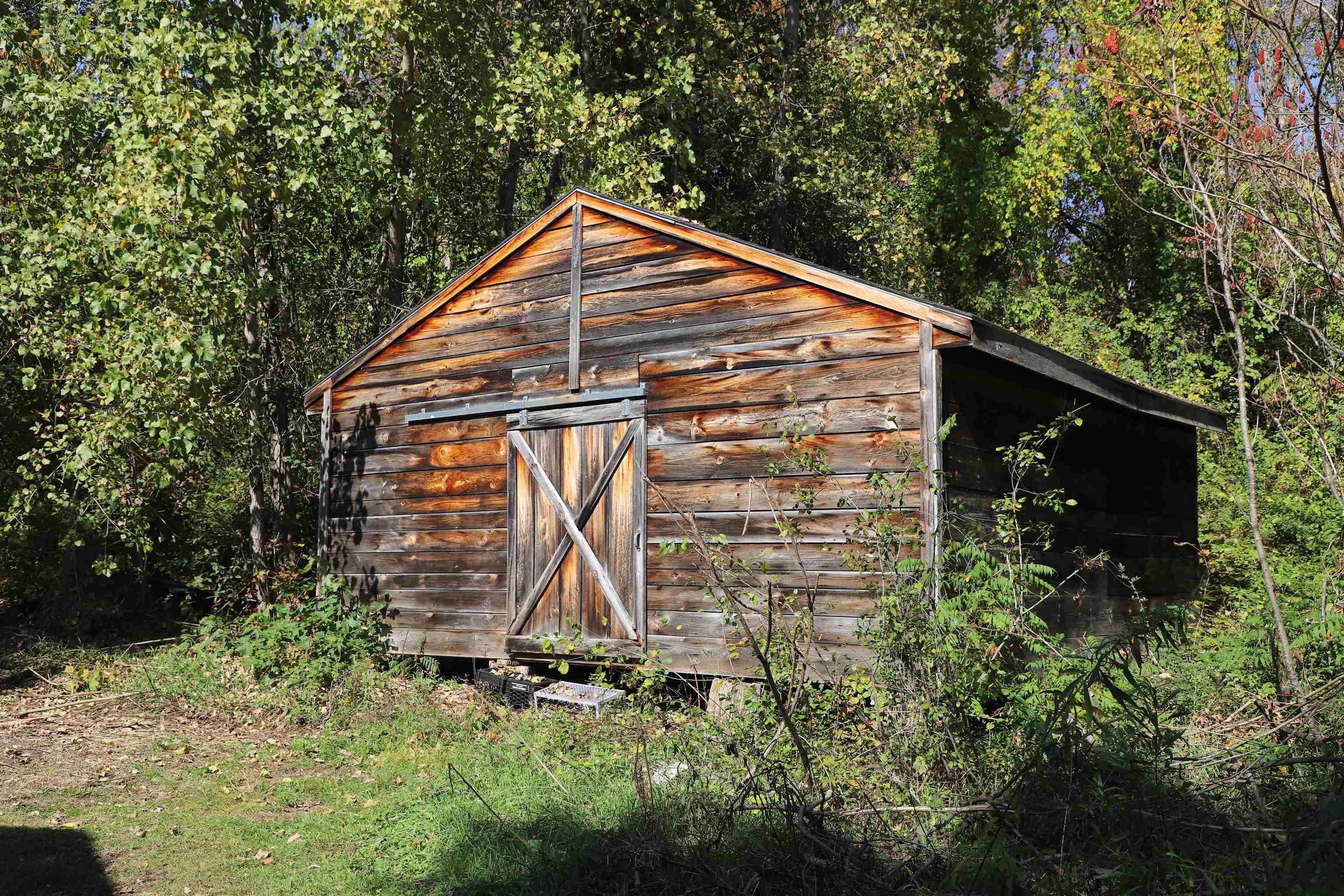 main property photo 4