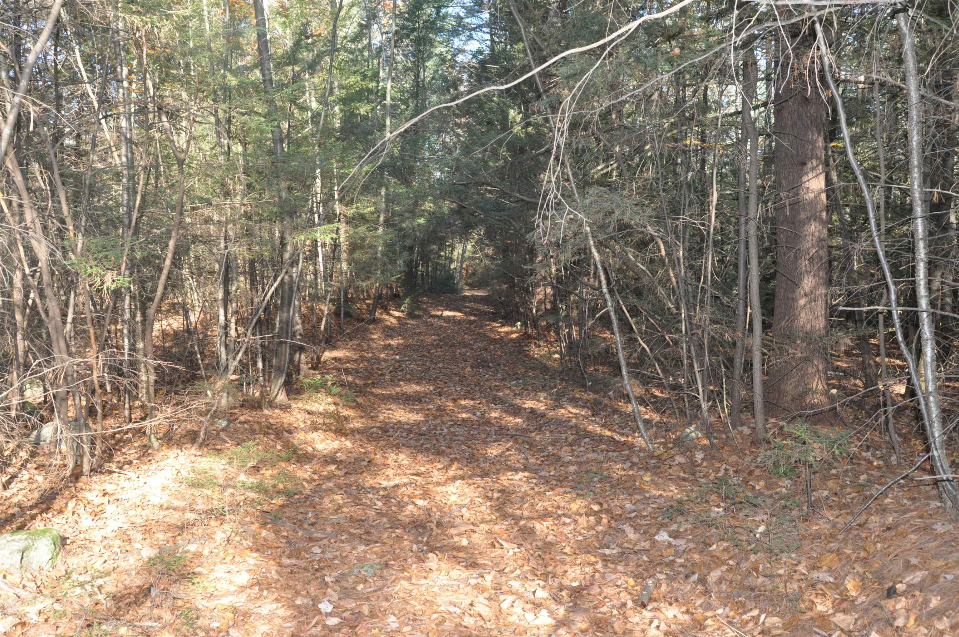 main property photo 35
