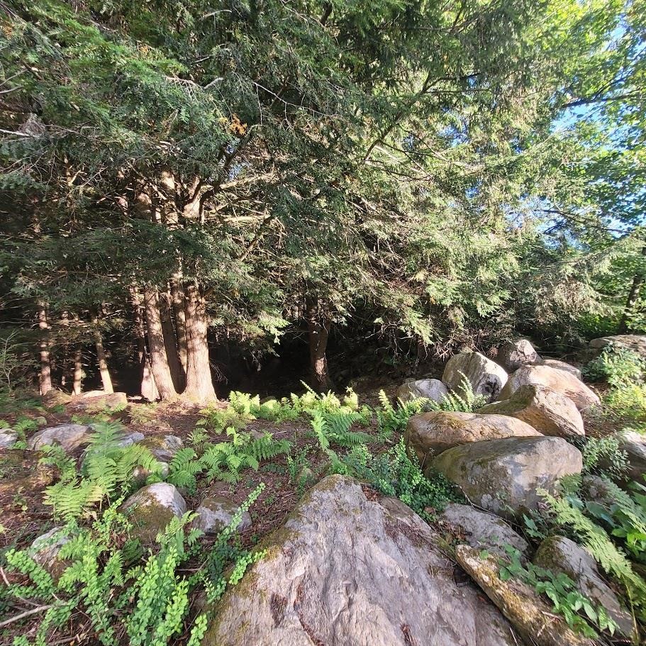 main property photo 13