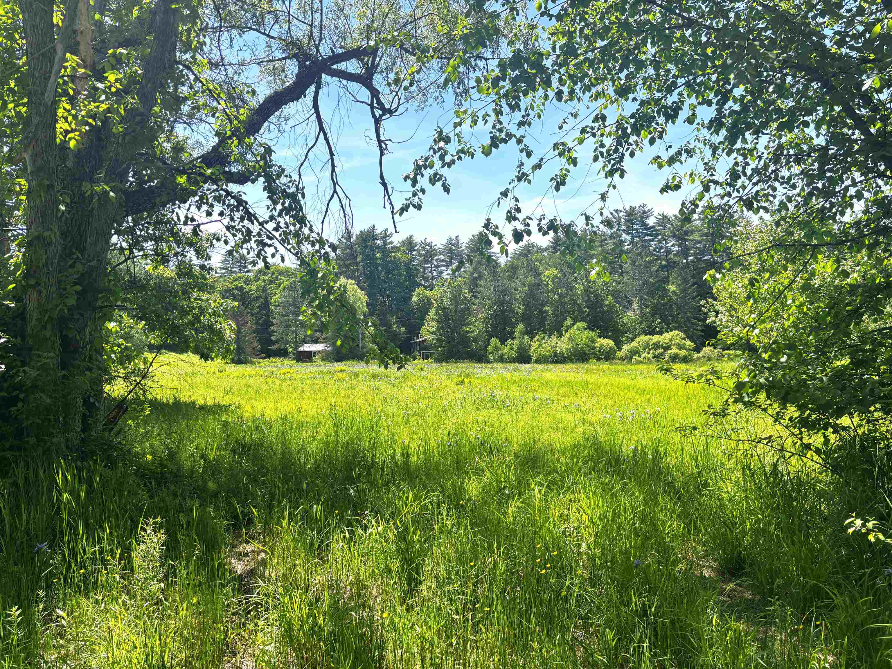 main property photo 44