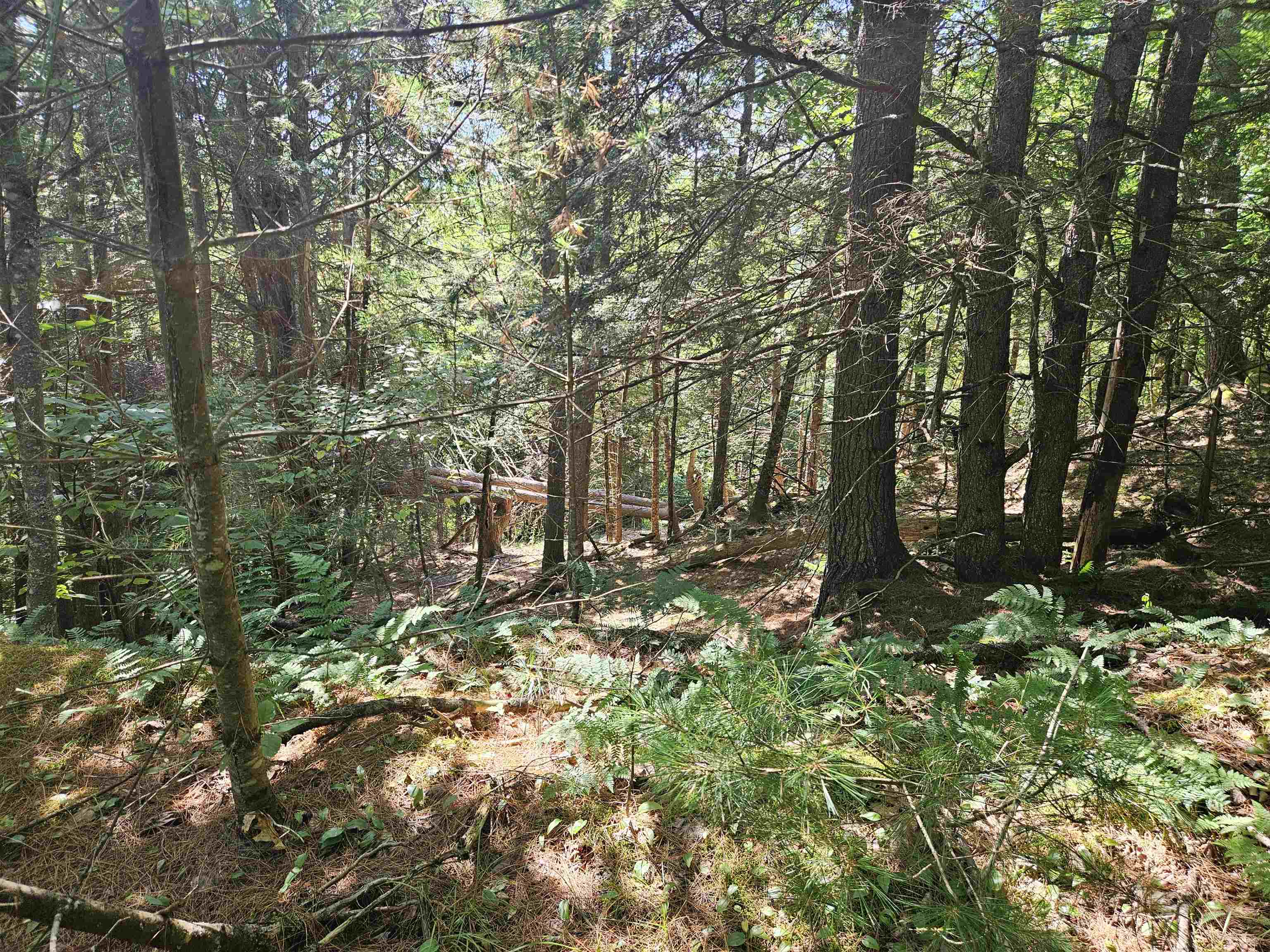 main property photo 21