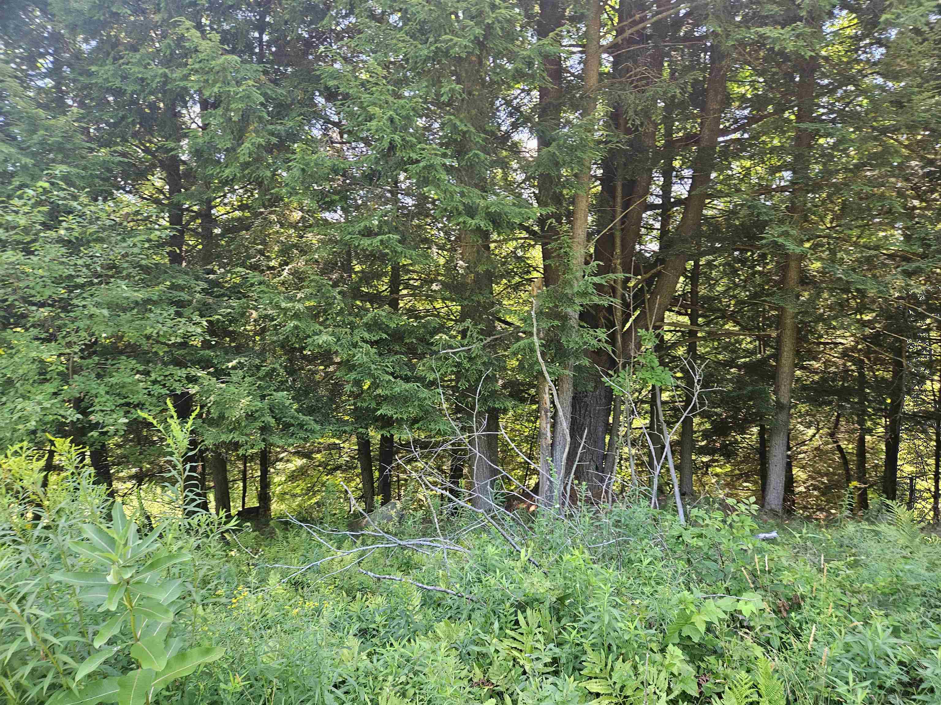 main property photo 23