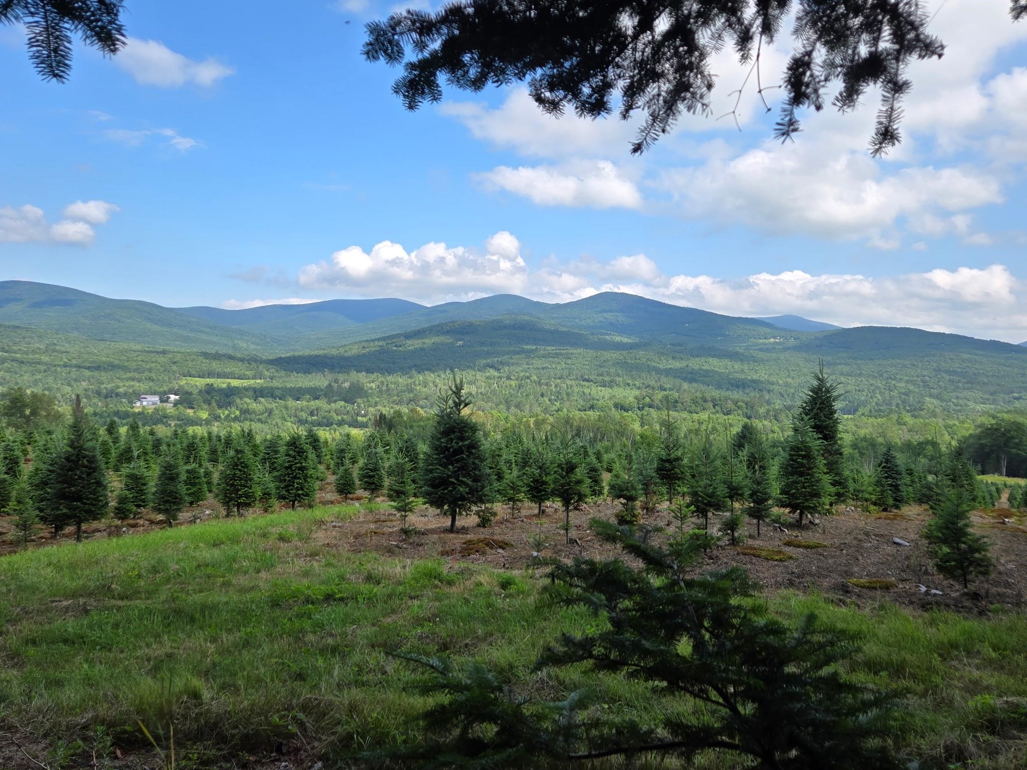 main property photo 35