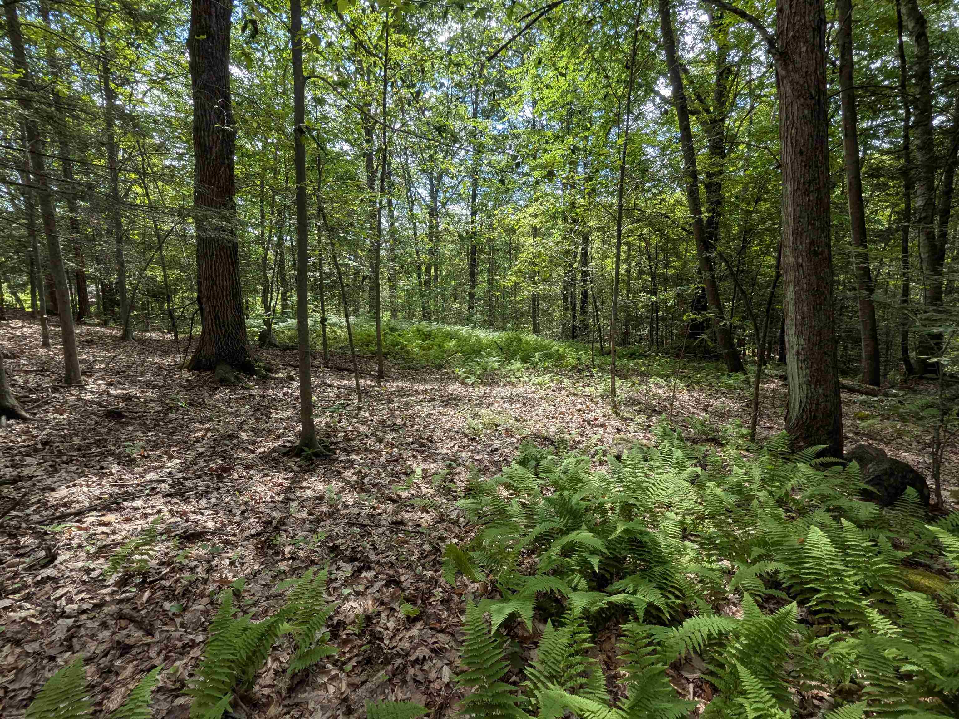 main property photo 12