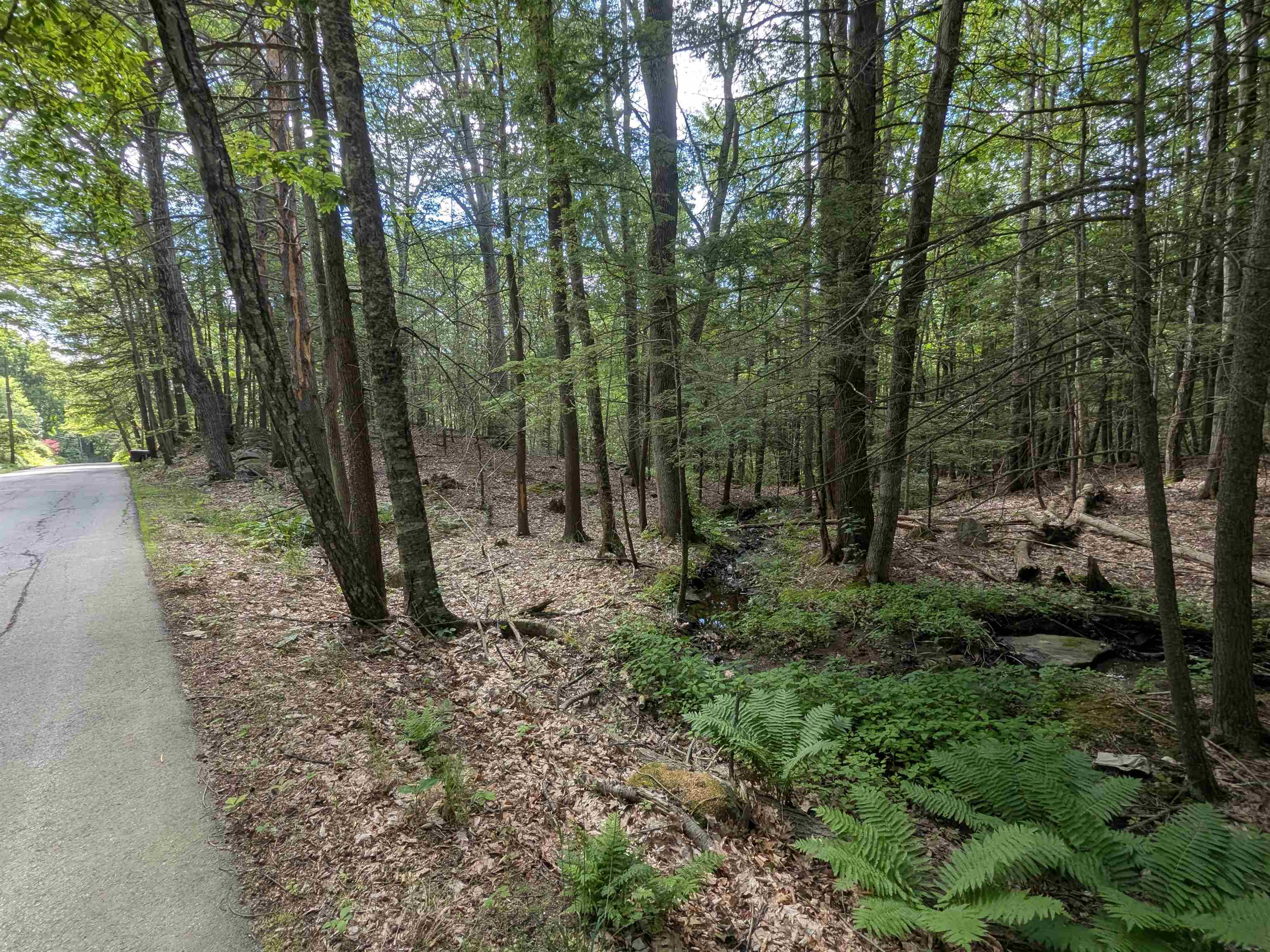 main property photo 16