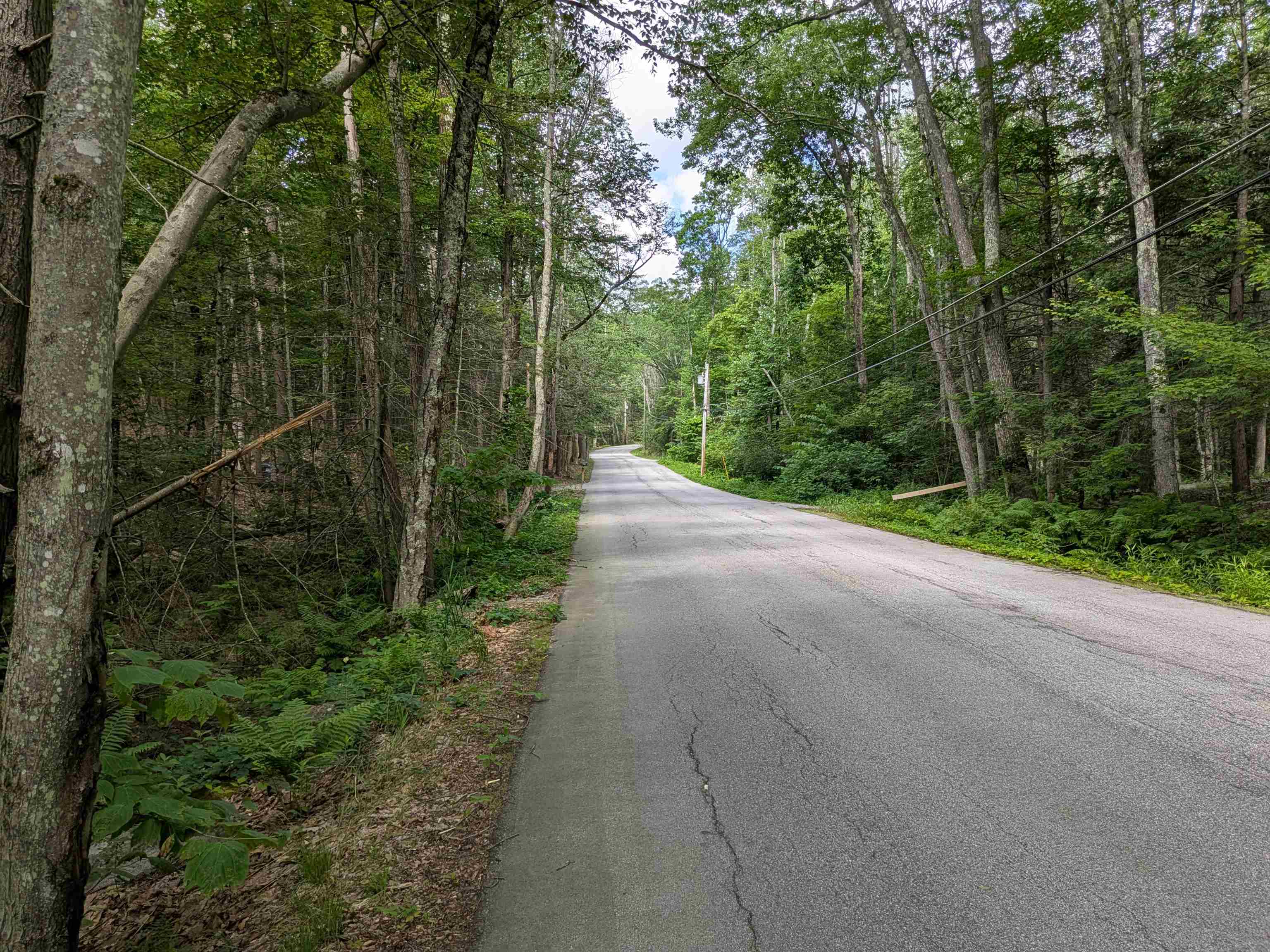 main property photo 17