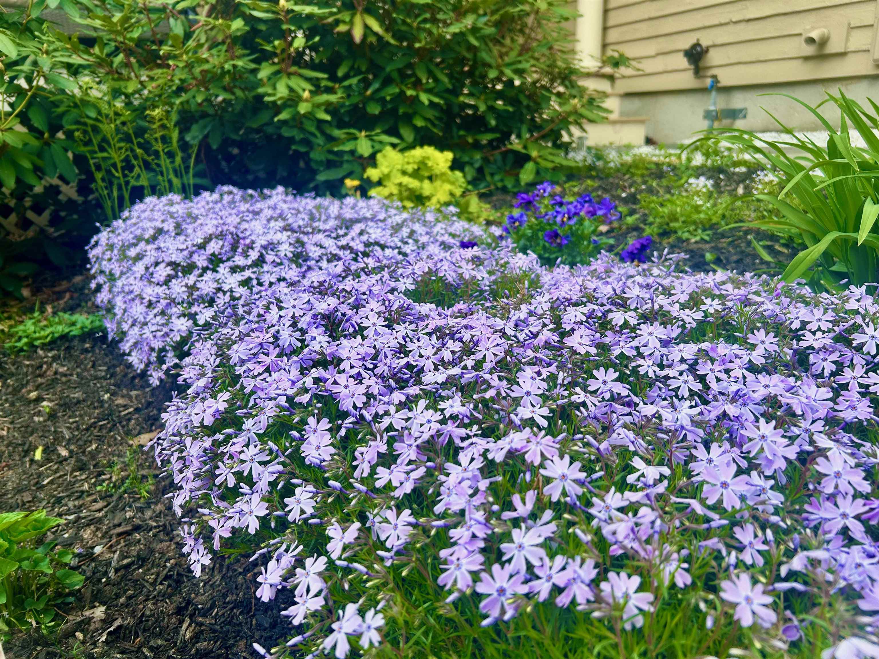 main property photo 52