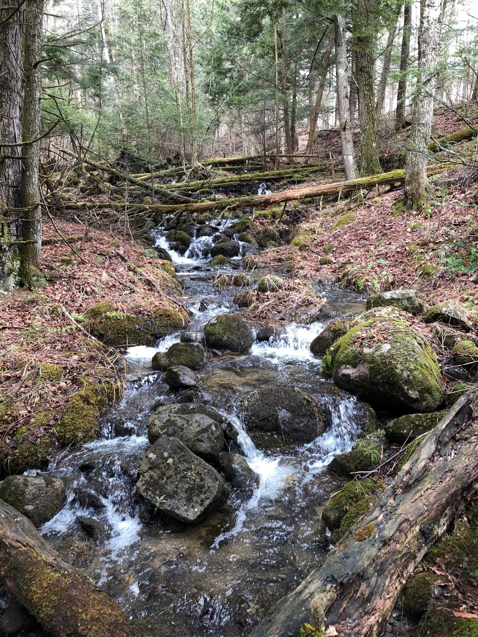 main property photo 46
