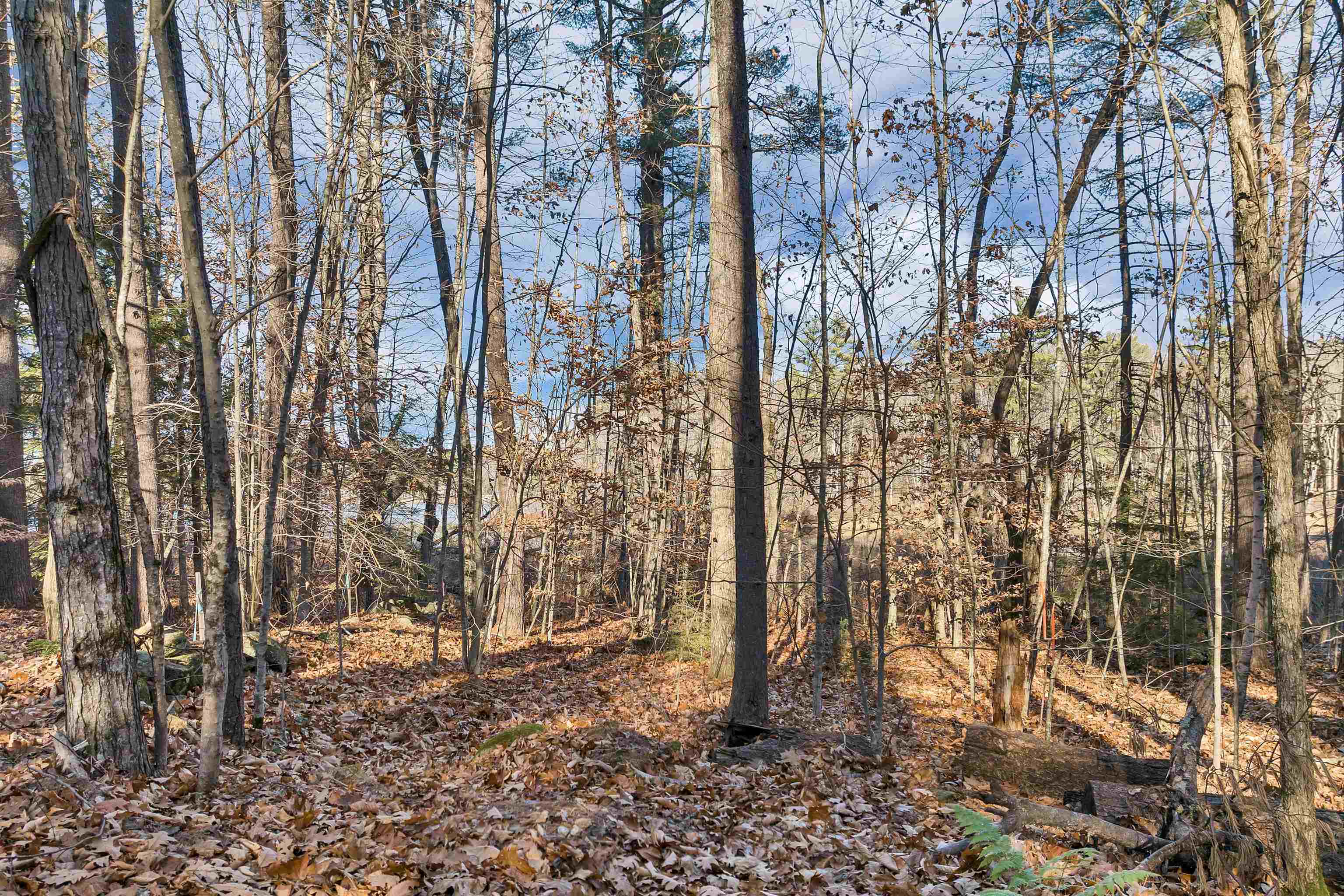 main property photo 14