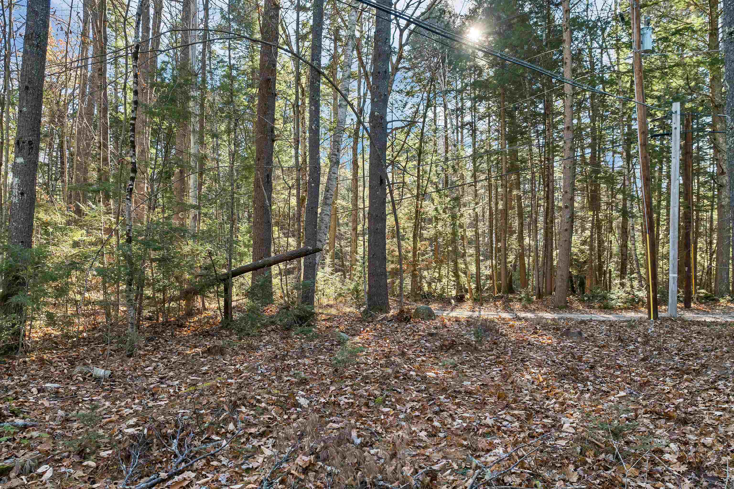 main property photo 17