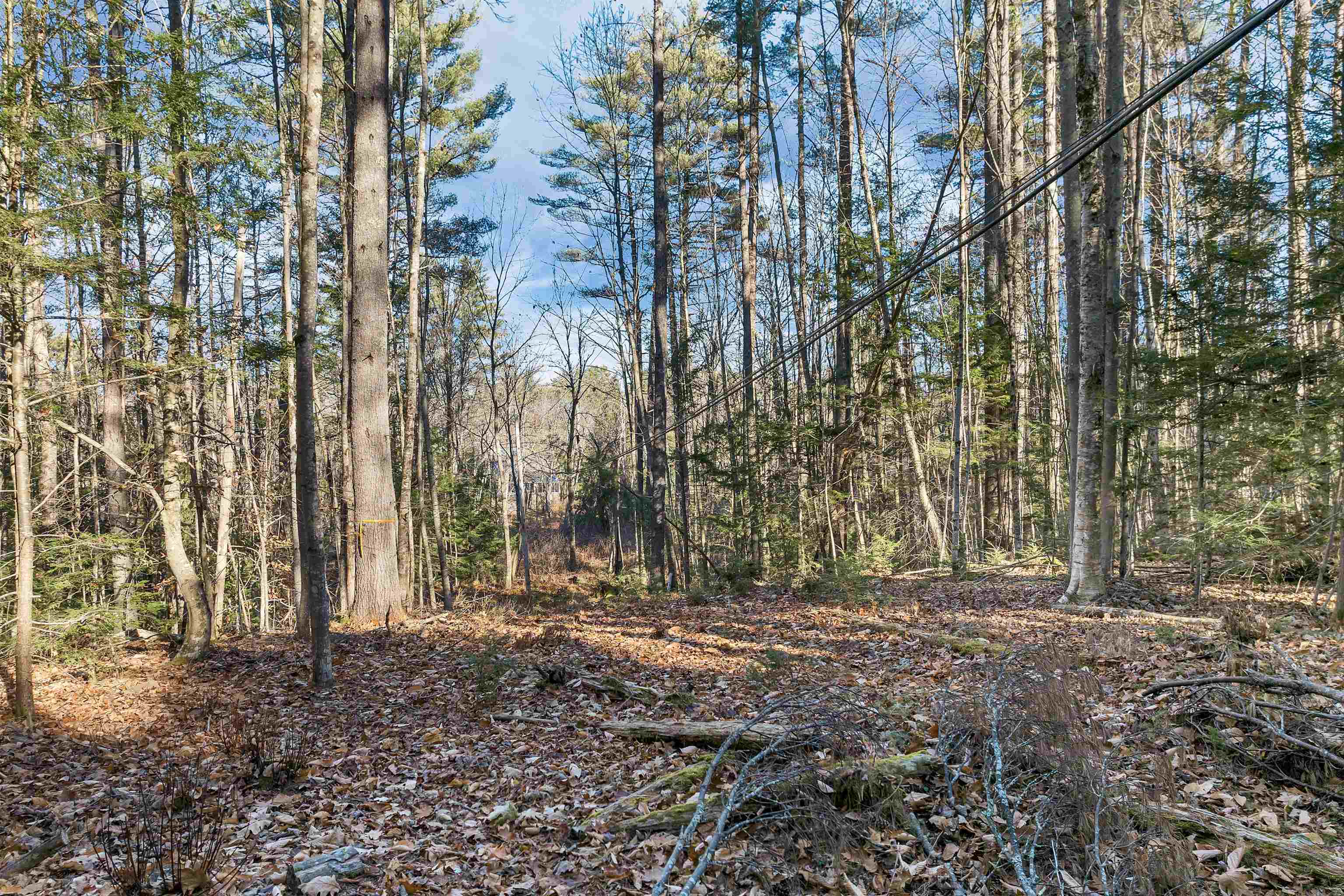 main property photo 18