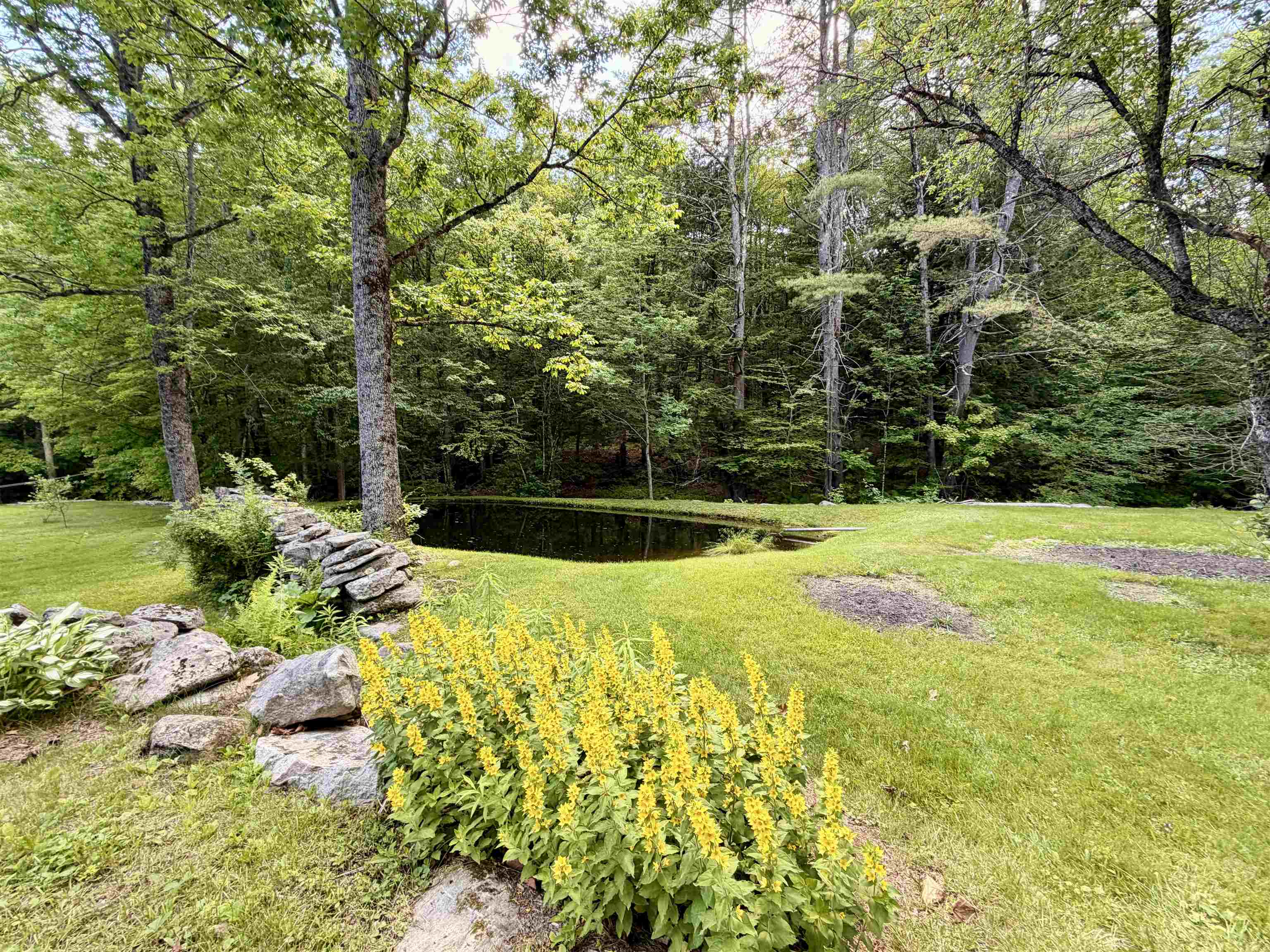 main property photo 53