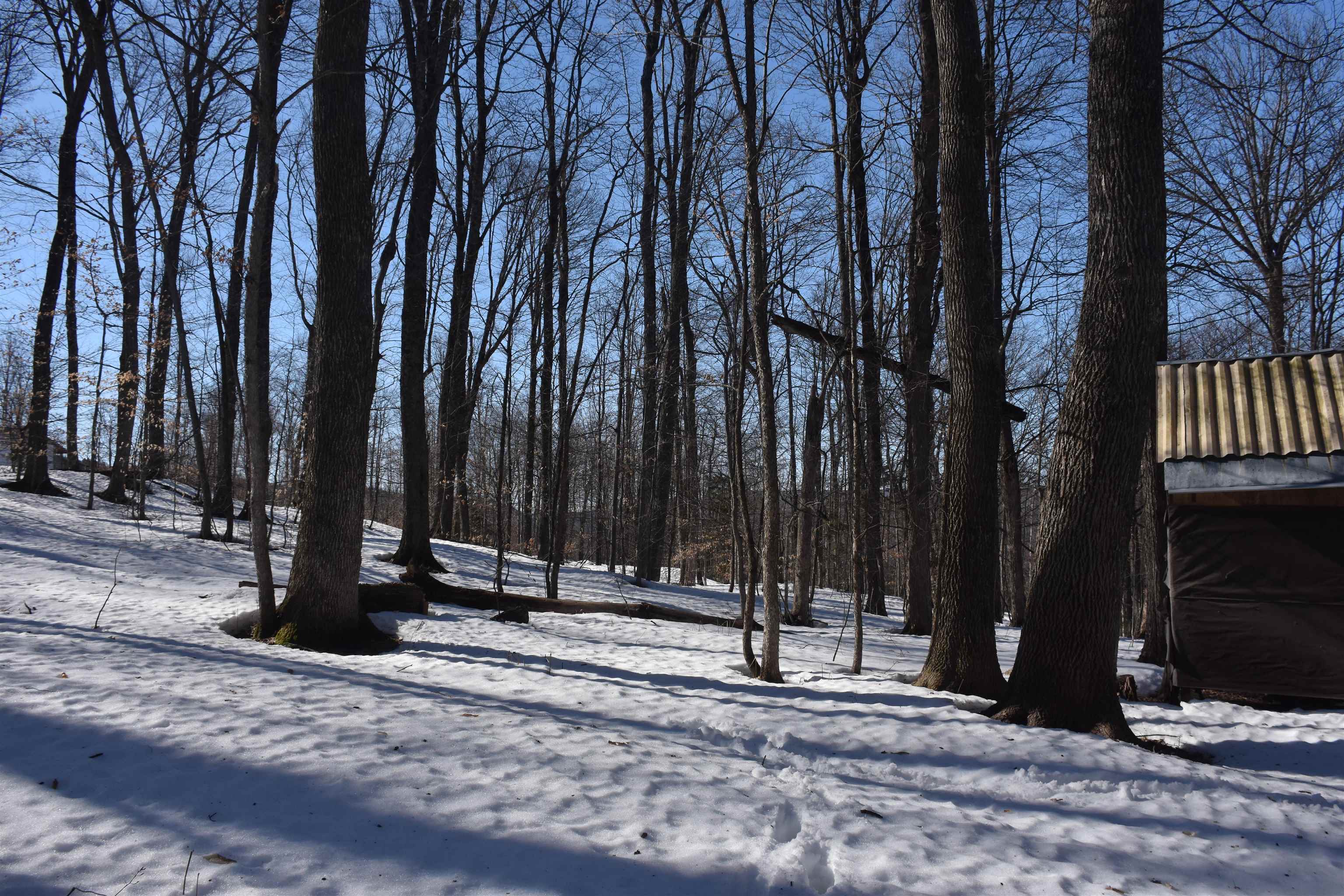 main property photo 42
