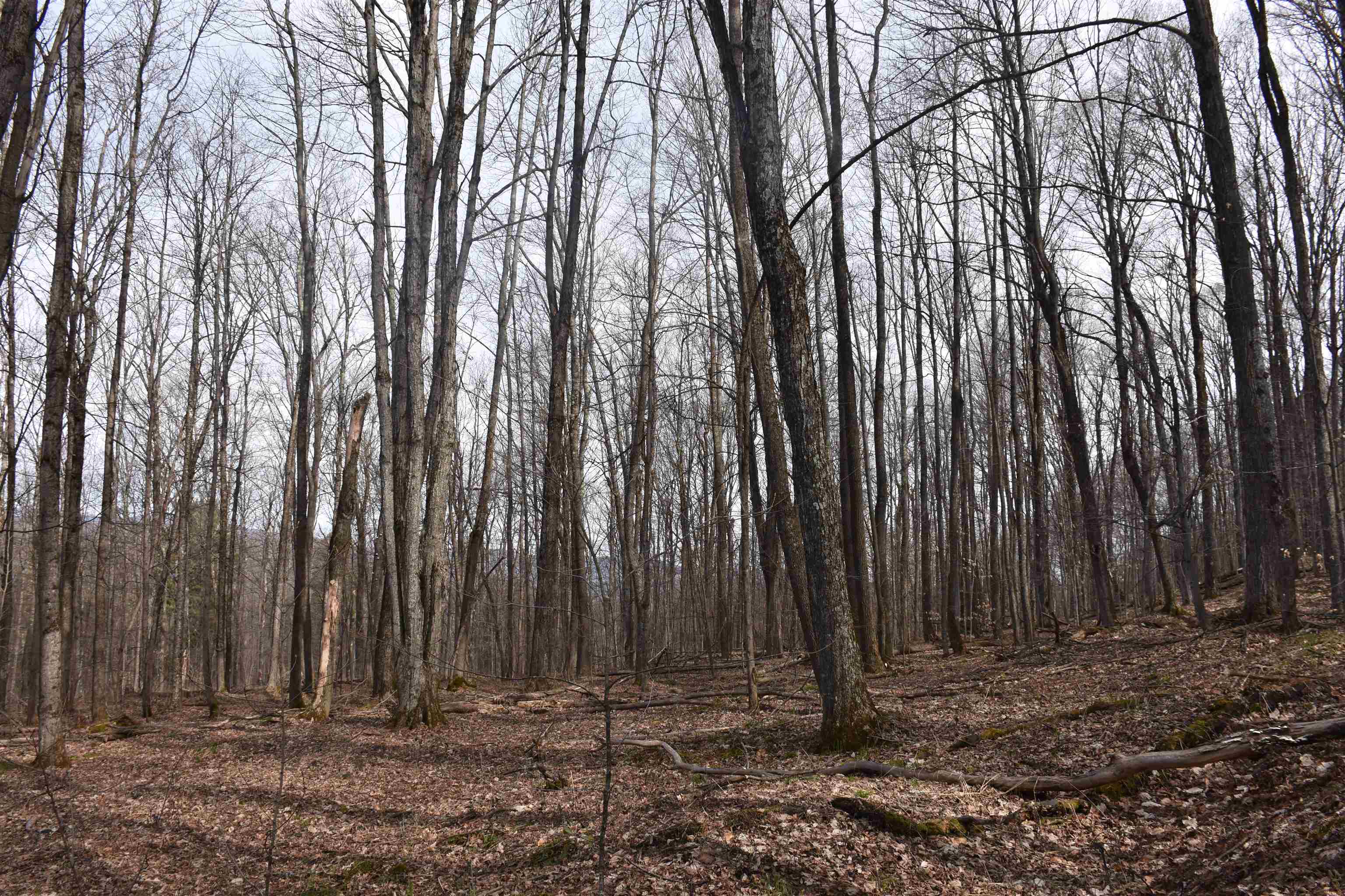 main property photo 49