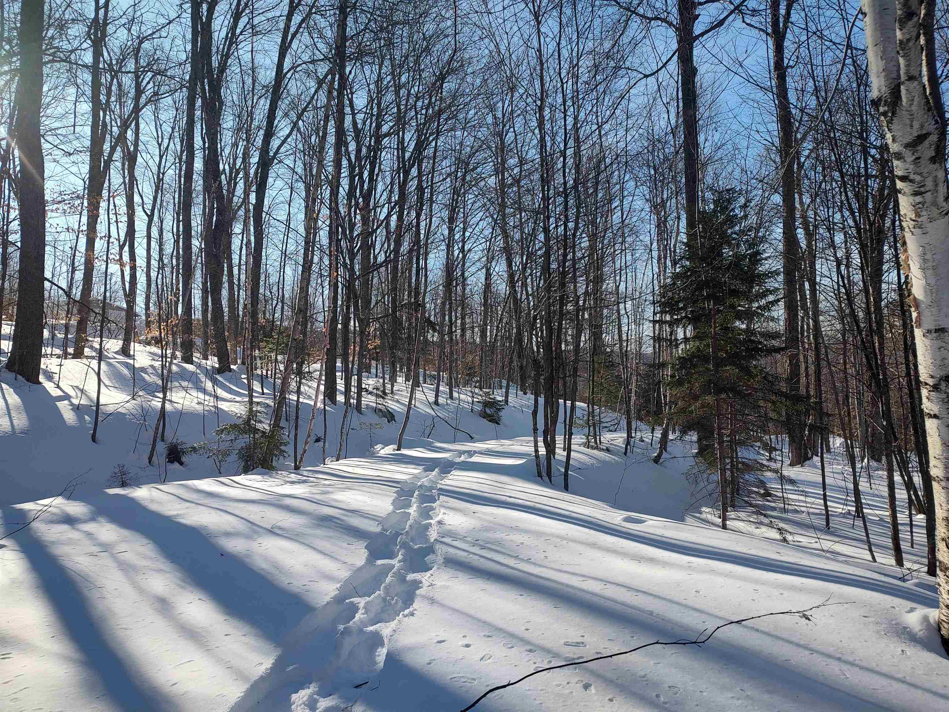 main property photo 53