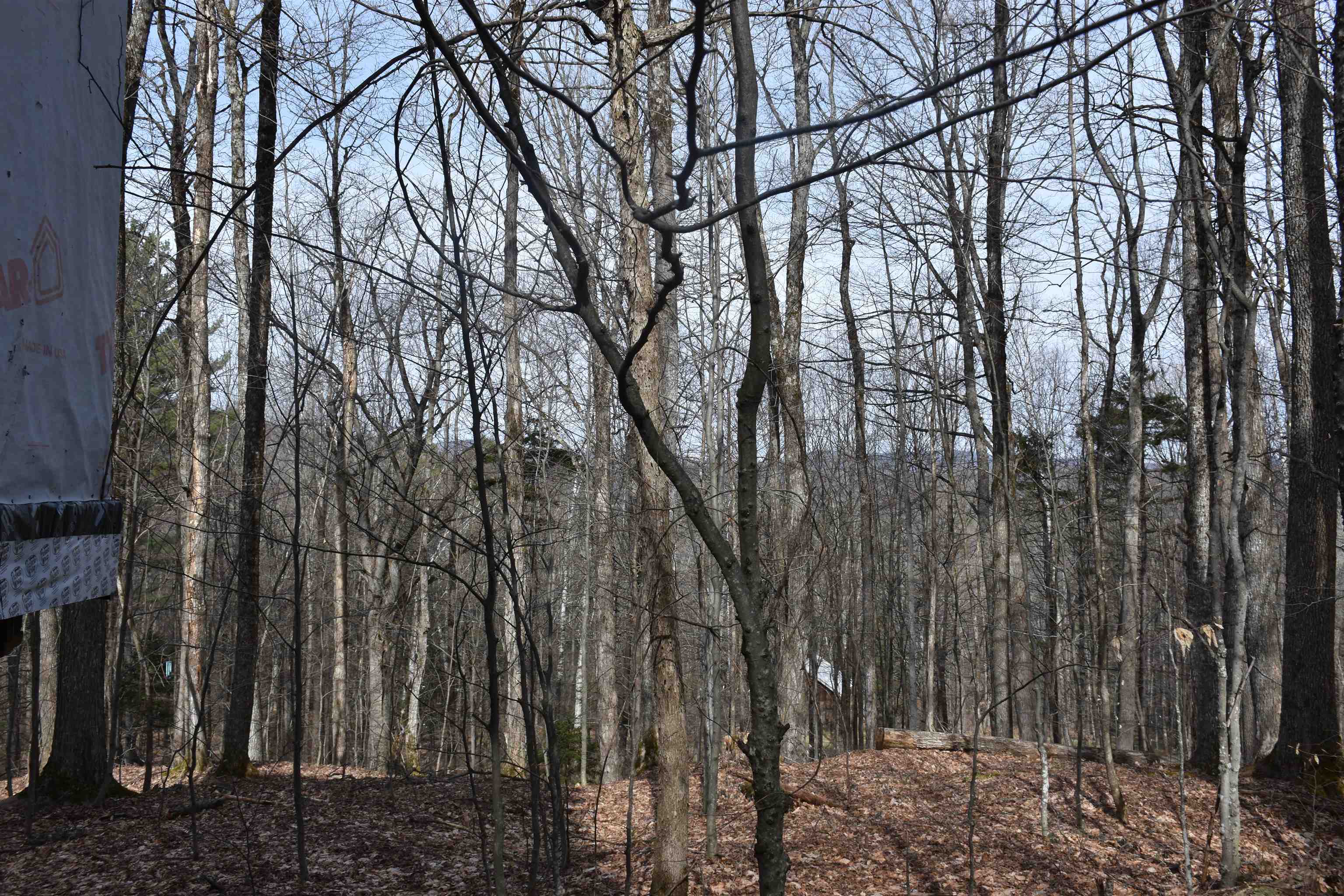 main property photo 54
