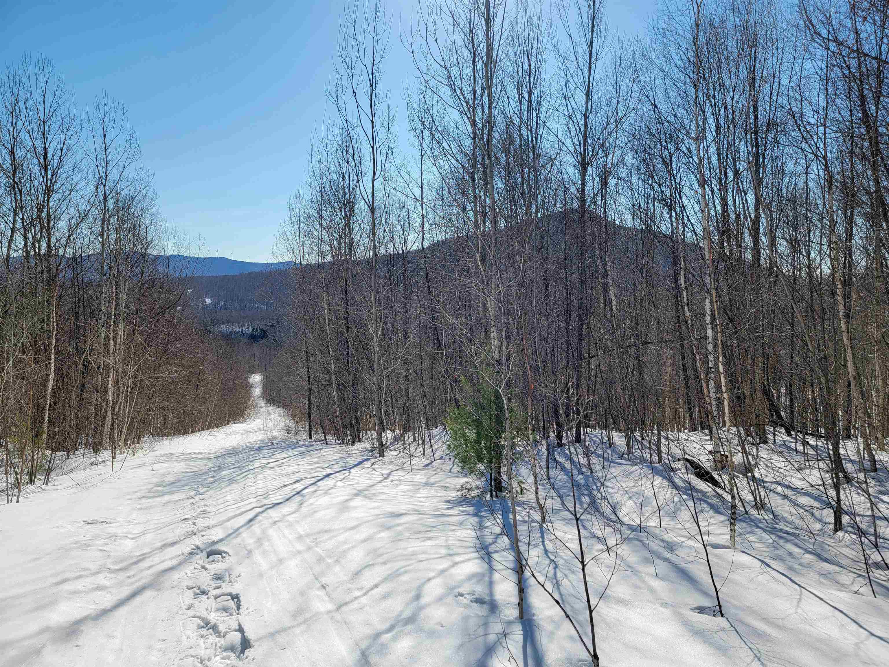main property photo 56