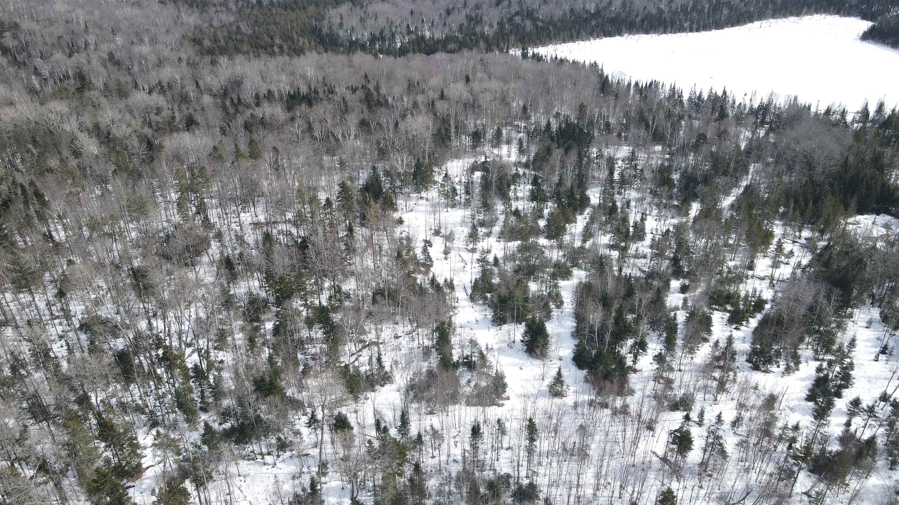 main property photo 47
