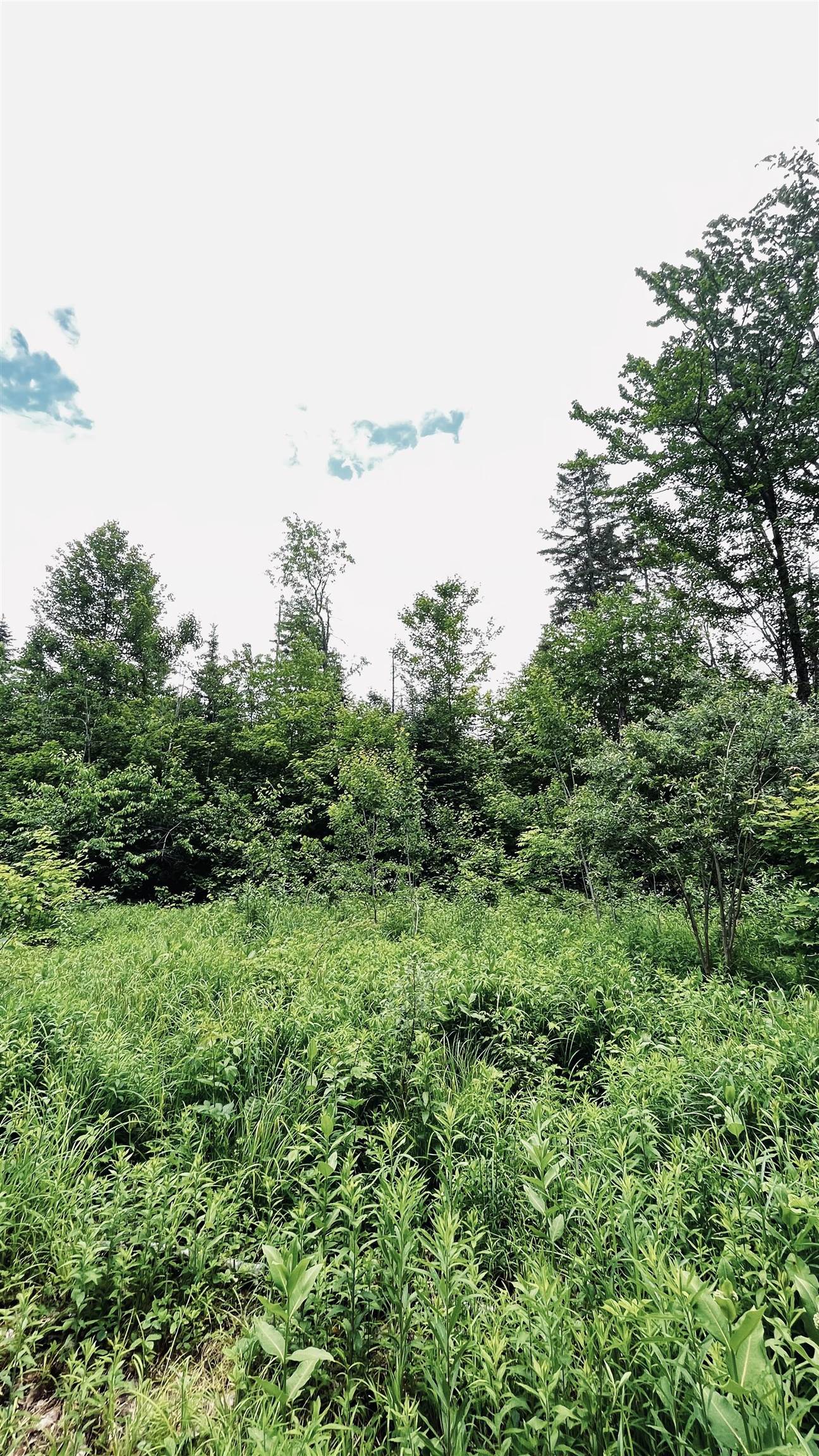 main property photo 53
