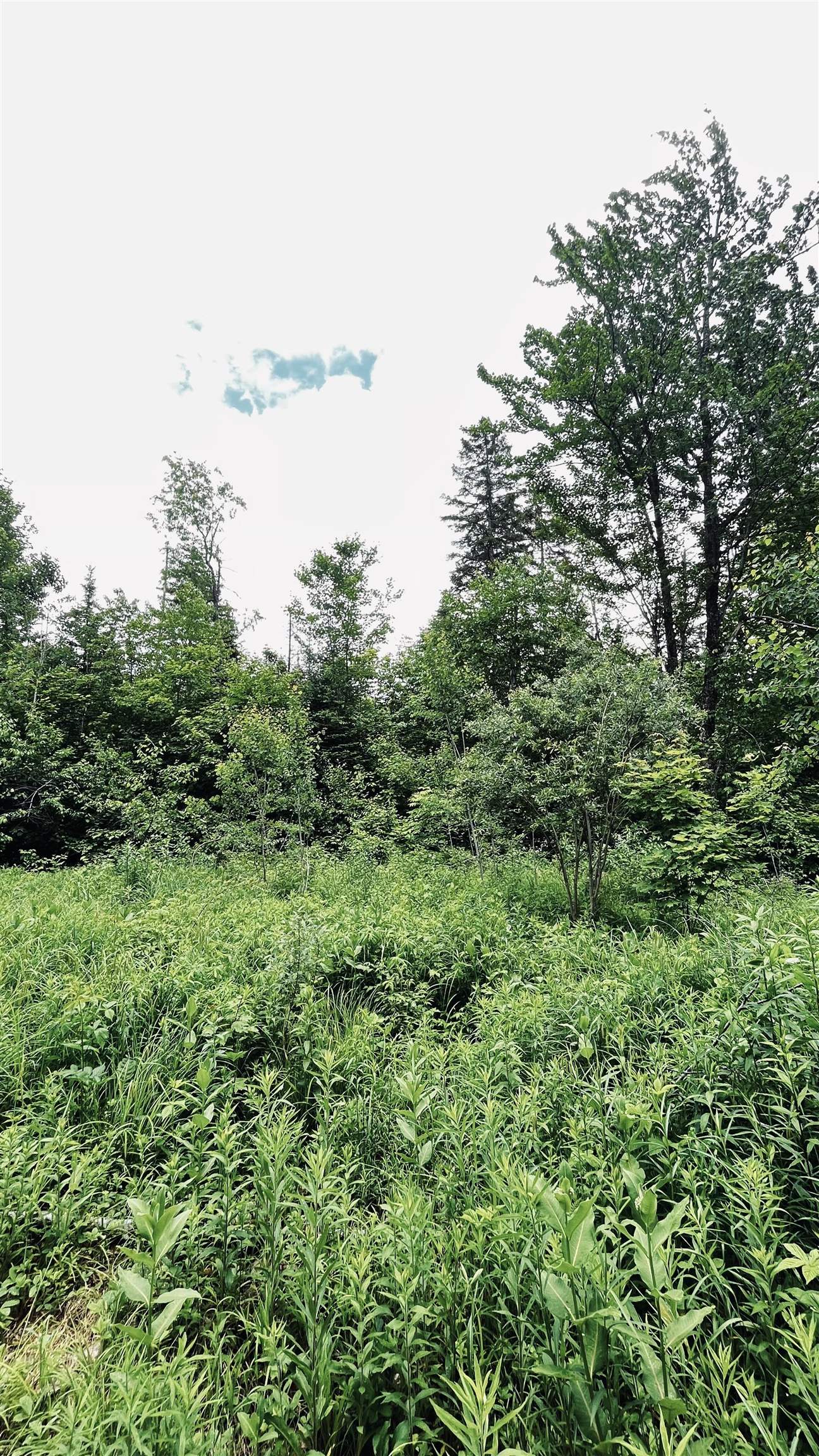 main property photo 57