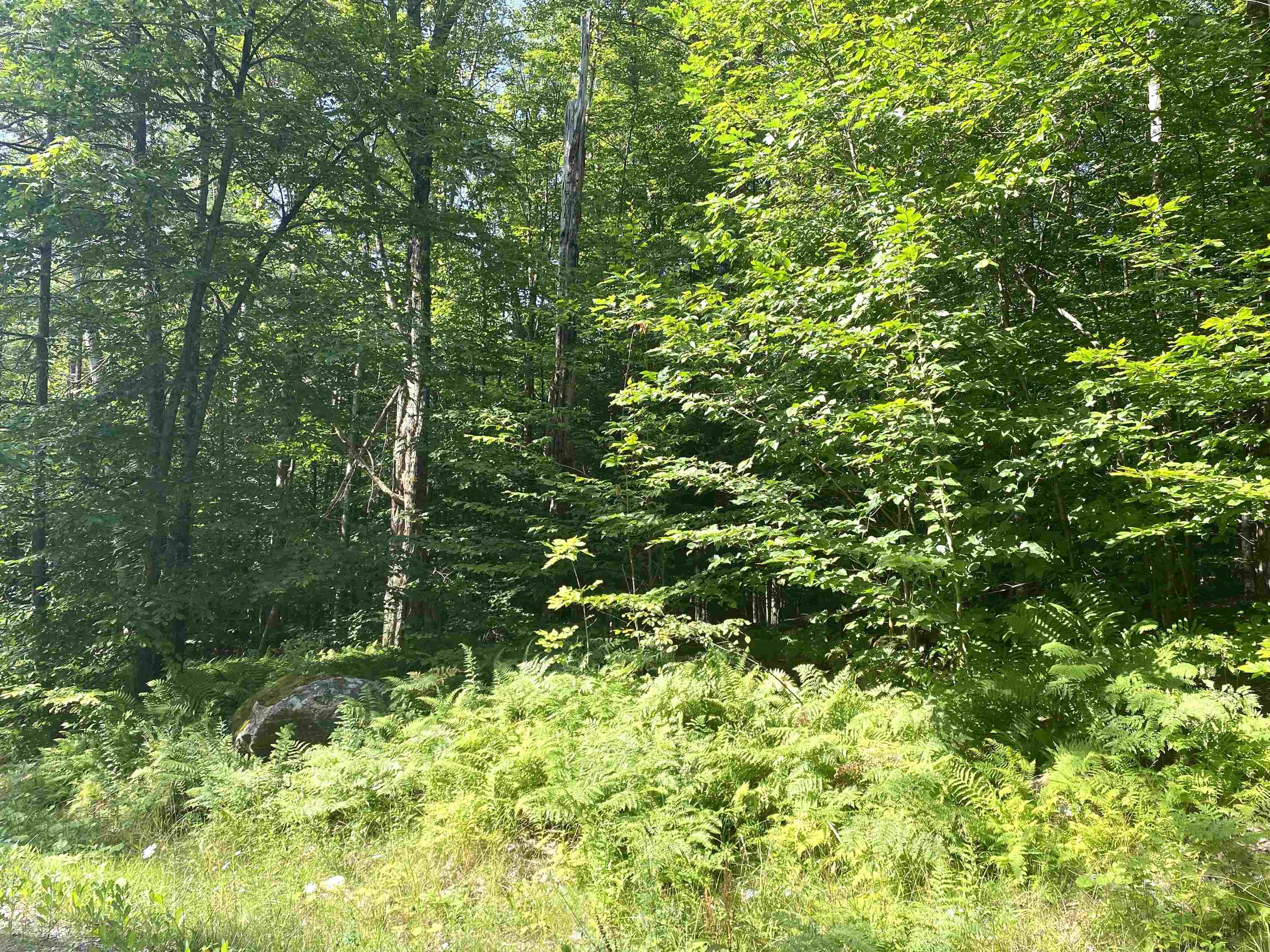 main property photo 12