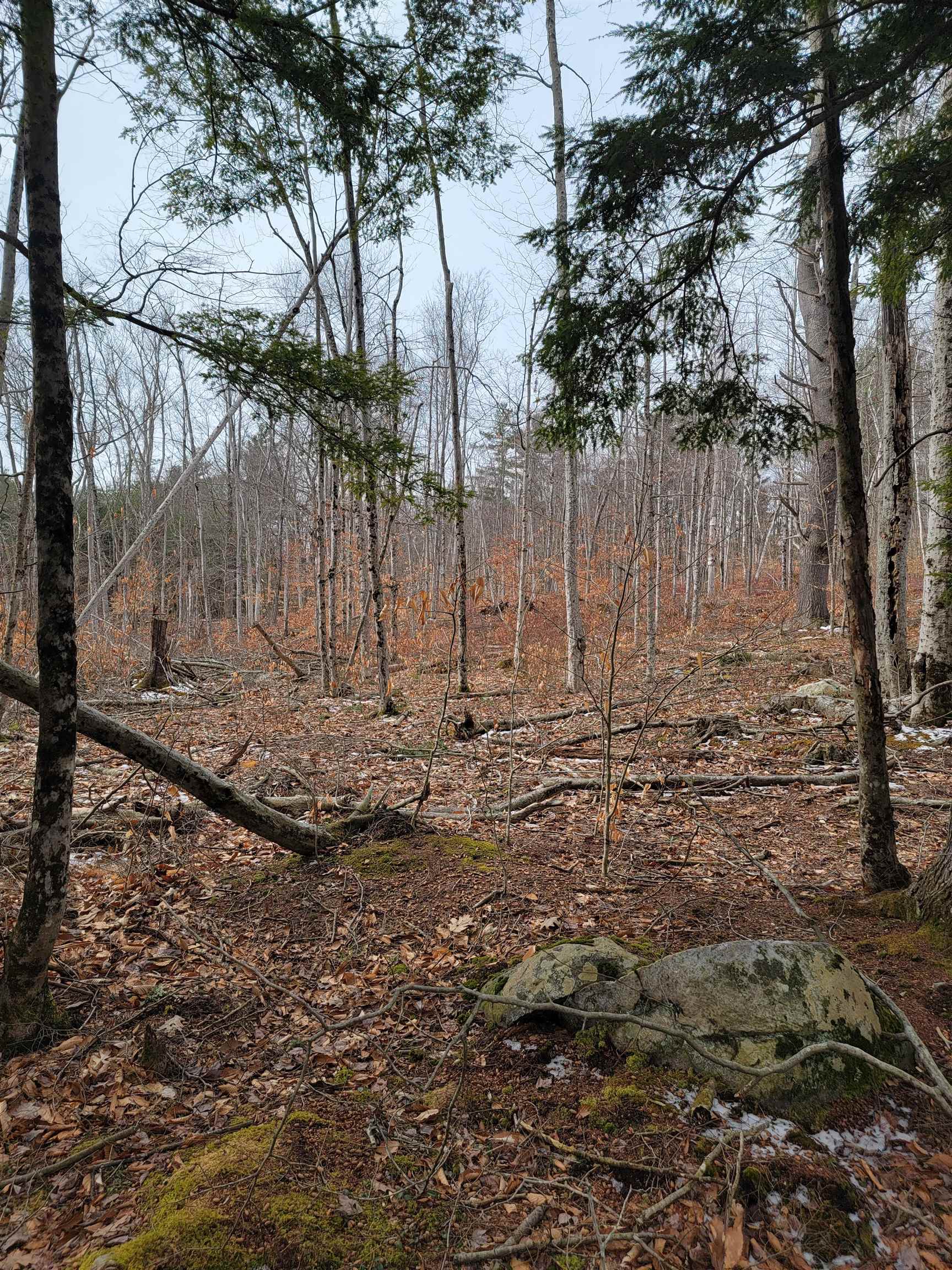 main property photo 10